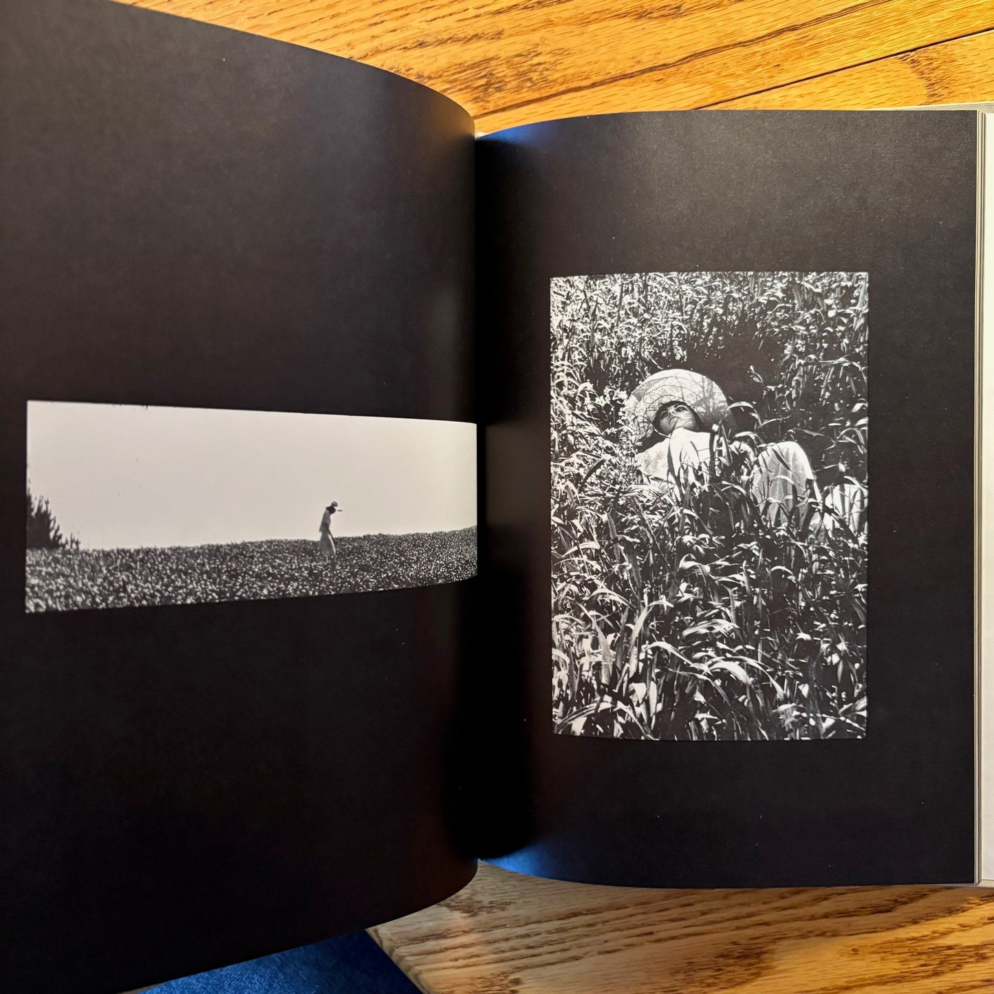Sigurd Olivier, Mark Swift - Gentlewoman