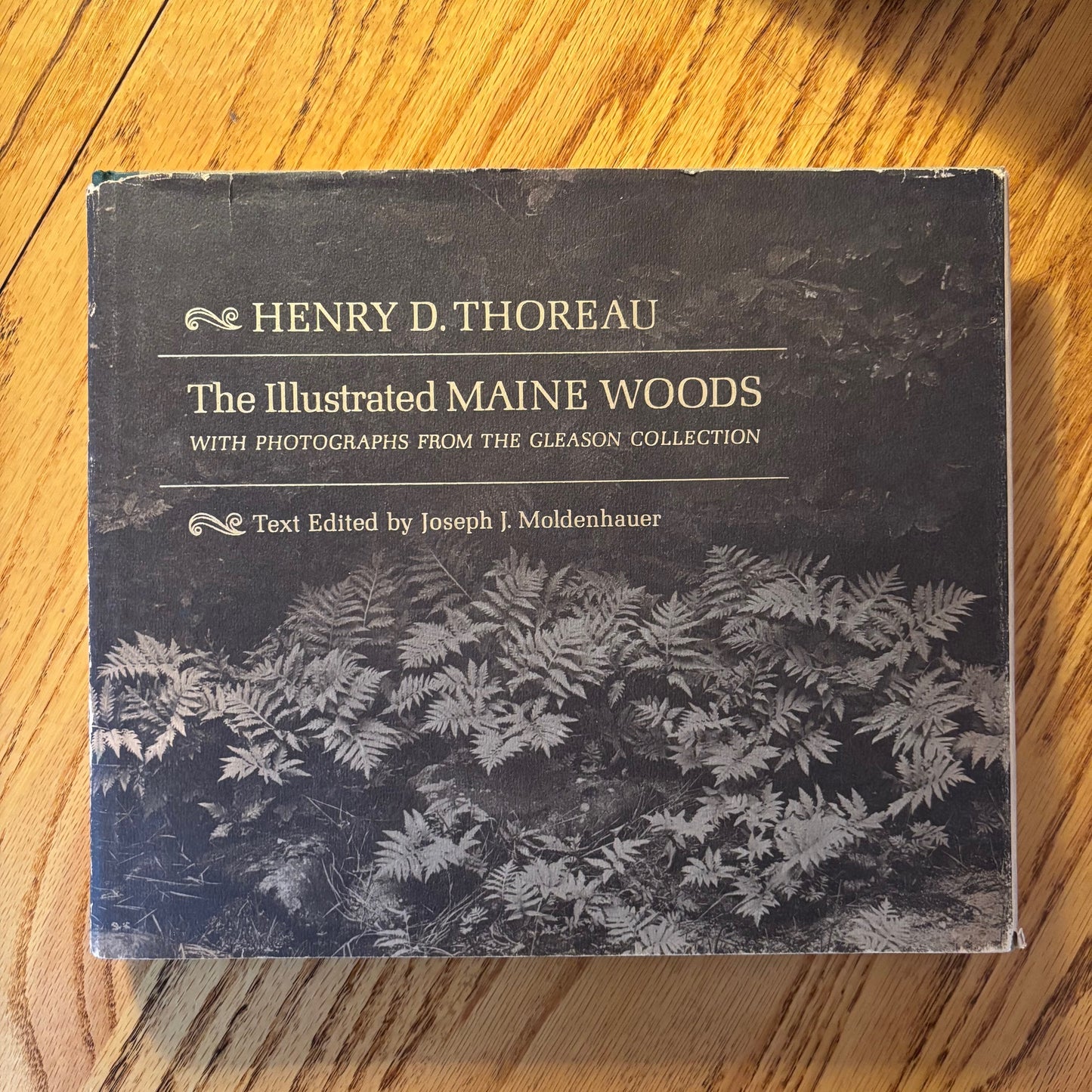 Henry D. Thoreau - The Illustrated Maine Woods