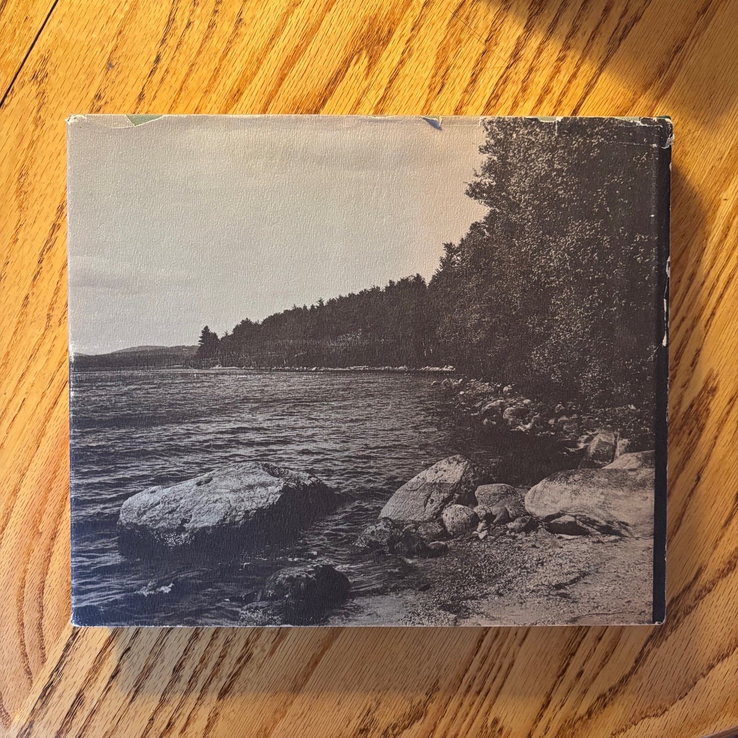 Henry D. Thoreau - The Illustrated Maine Woods