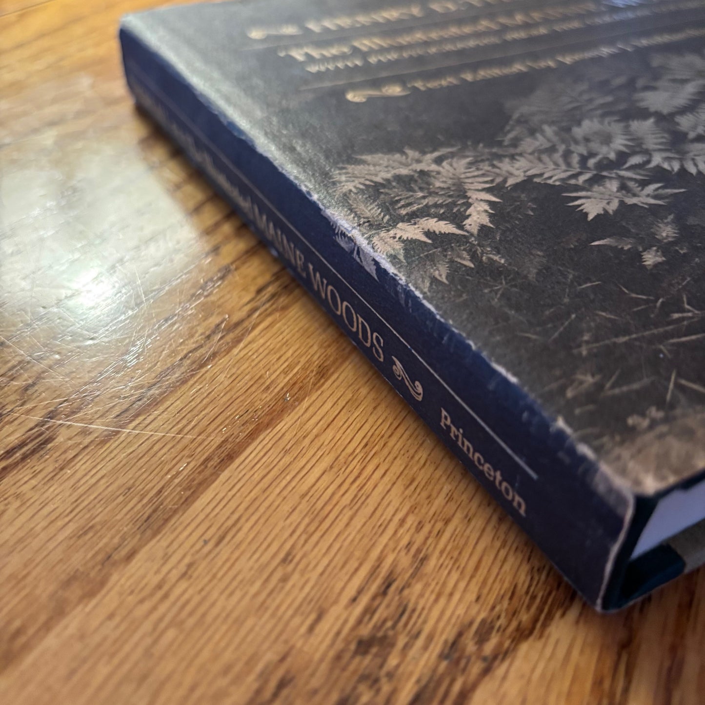 Henry D. Thoreau - The Illustrated Maine Woods