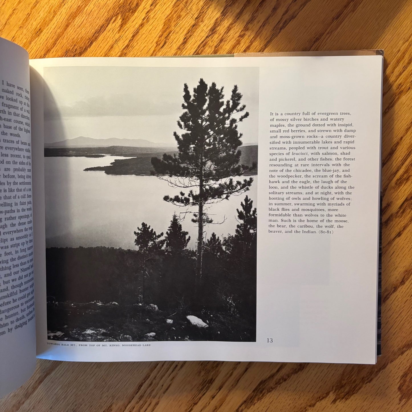 Henry D. Thoreau - The Illustrated Maine Woods