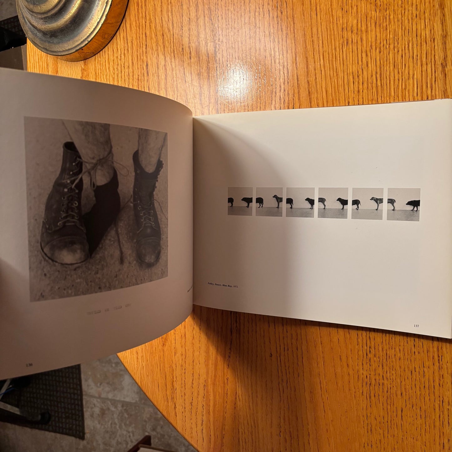 William Wegman - L'Oeuvre Photographique / Photographic Works 1969-1976