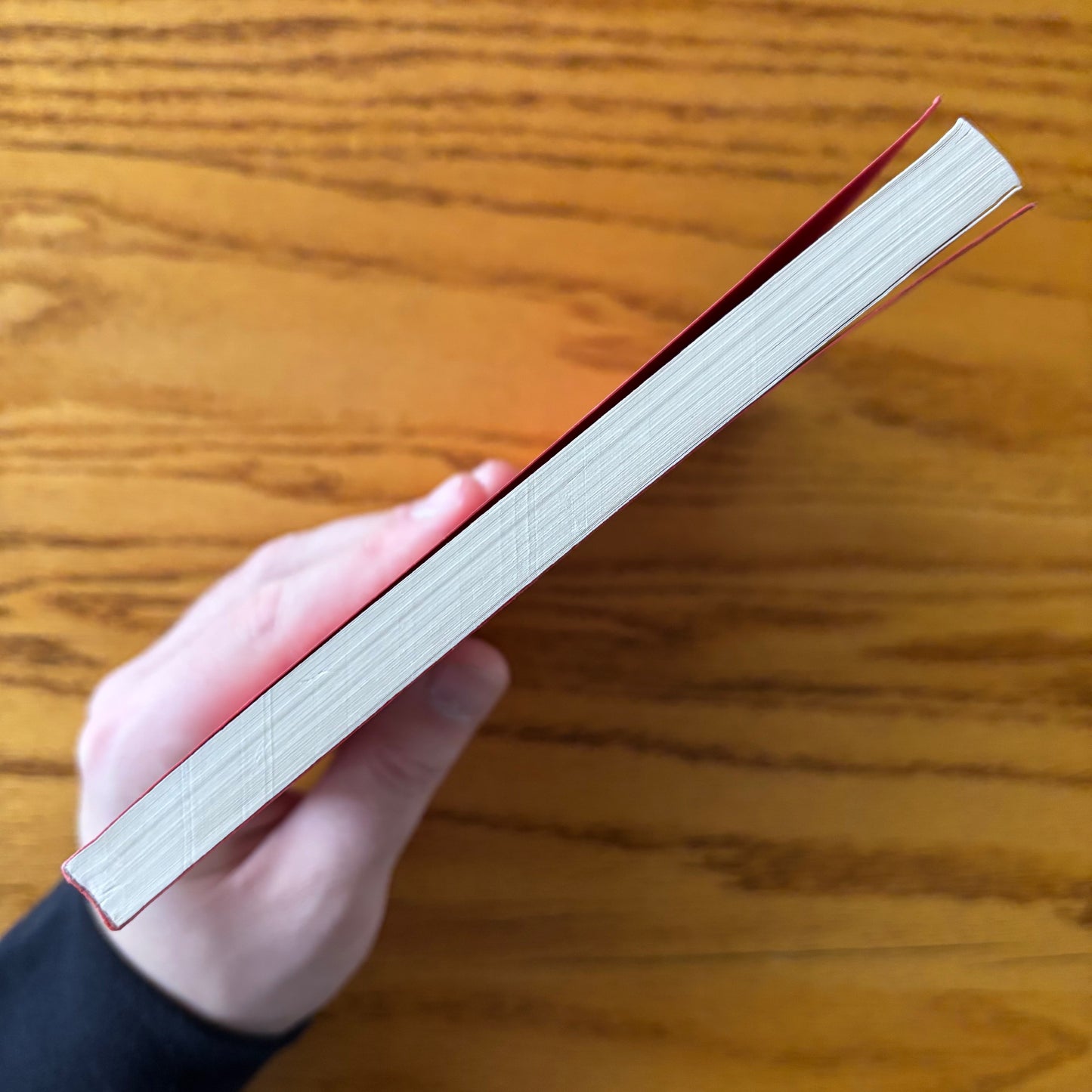 John Hawkes - The Passion Artist - Uncorrected Proof