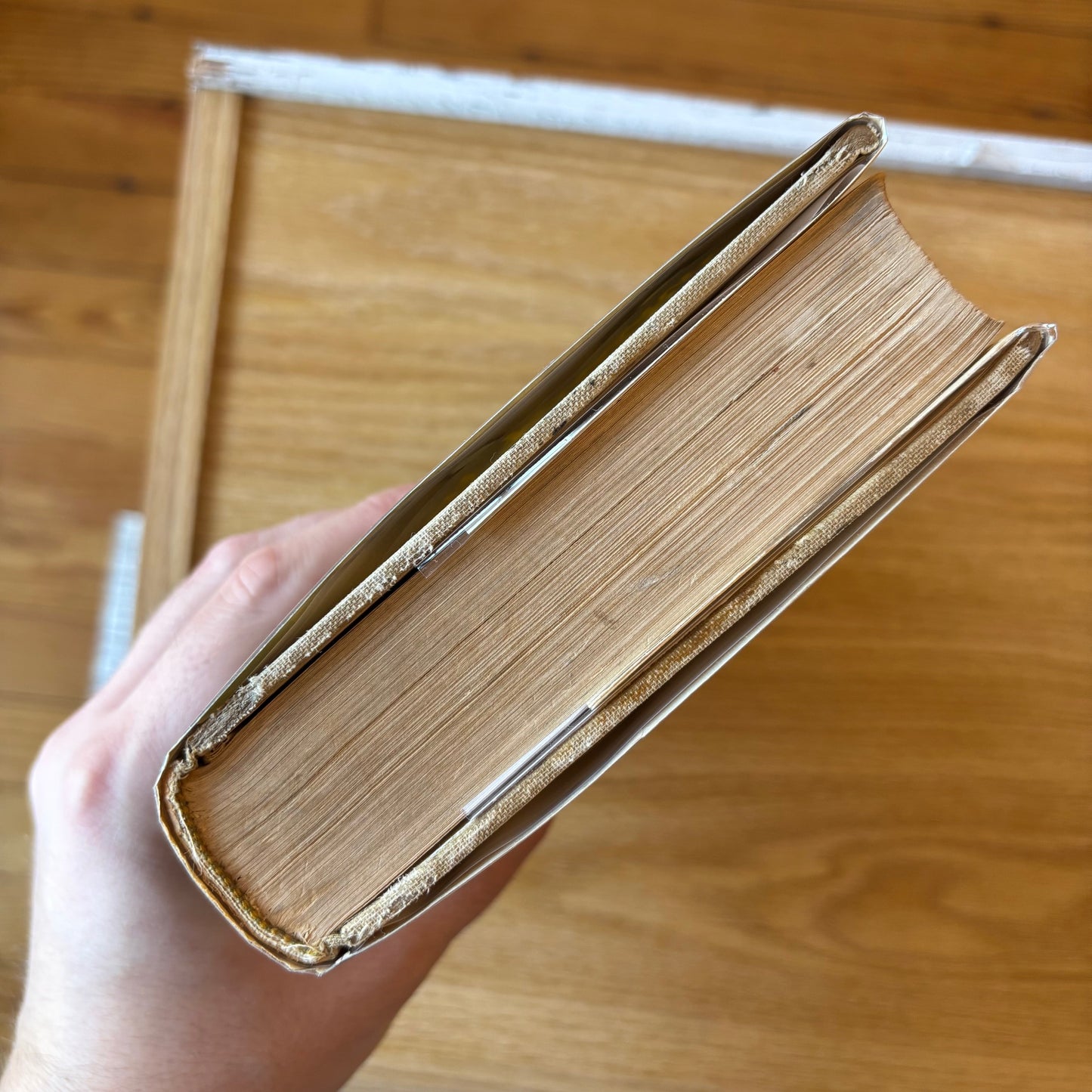 William Faulkner - The Wild Palms - First Edition