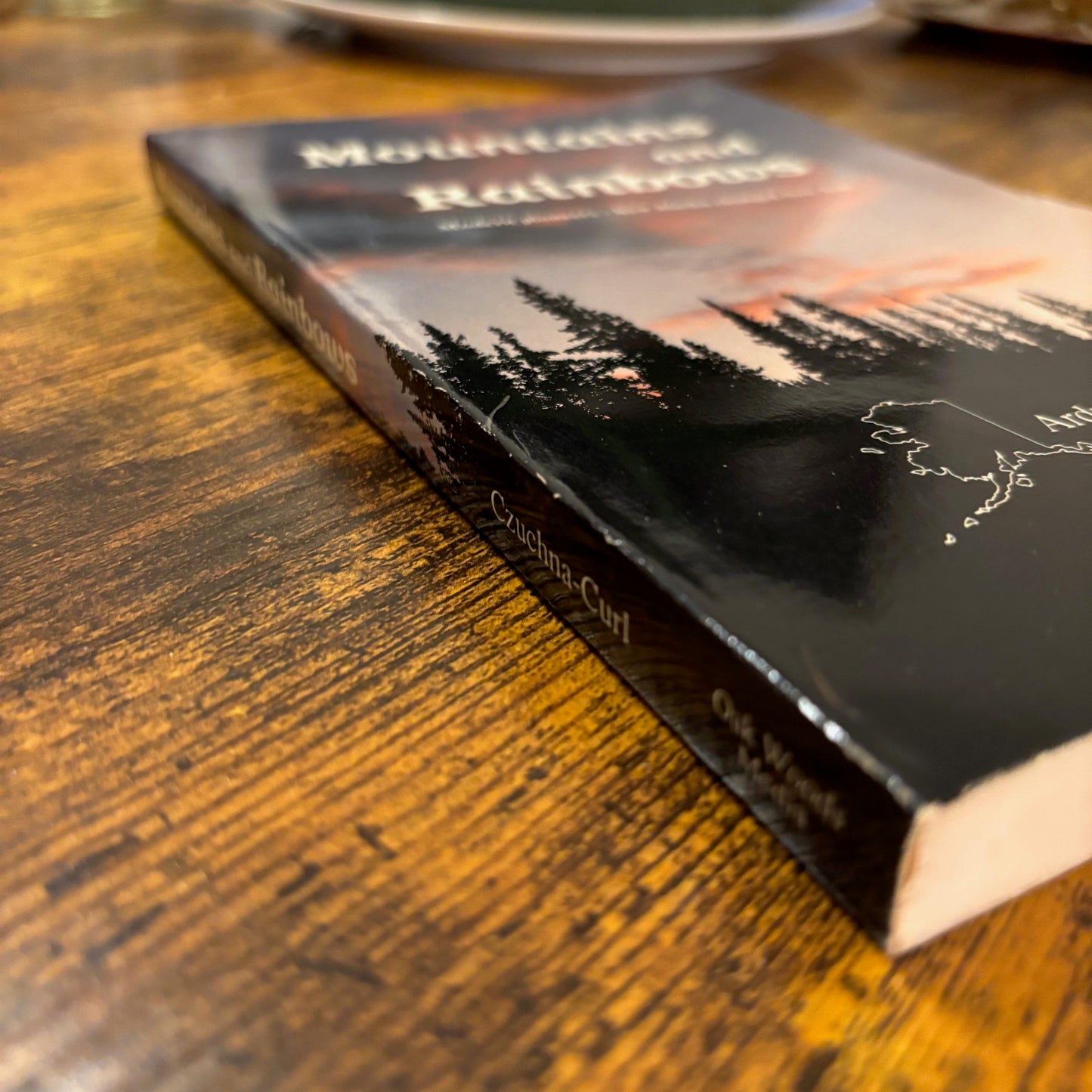 Ardyce Czuchna-Curl - Mountains and Rainbows