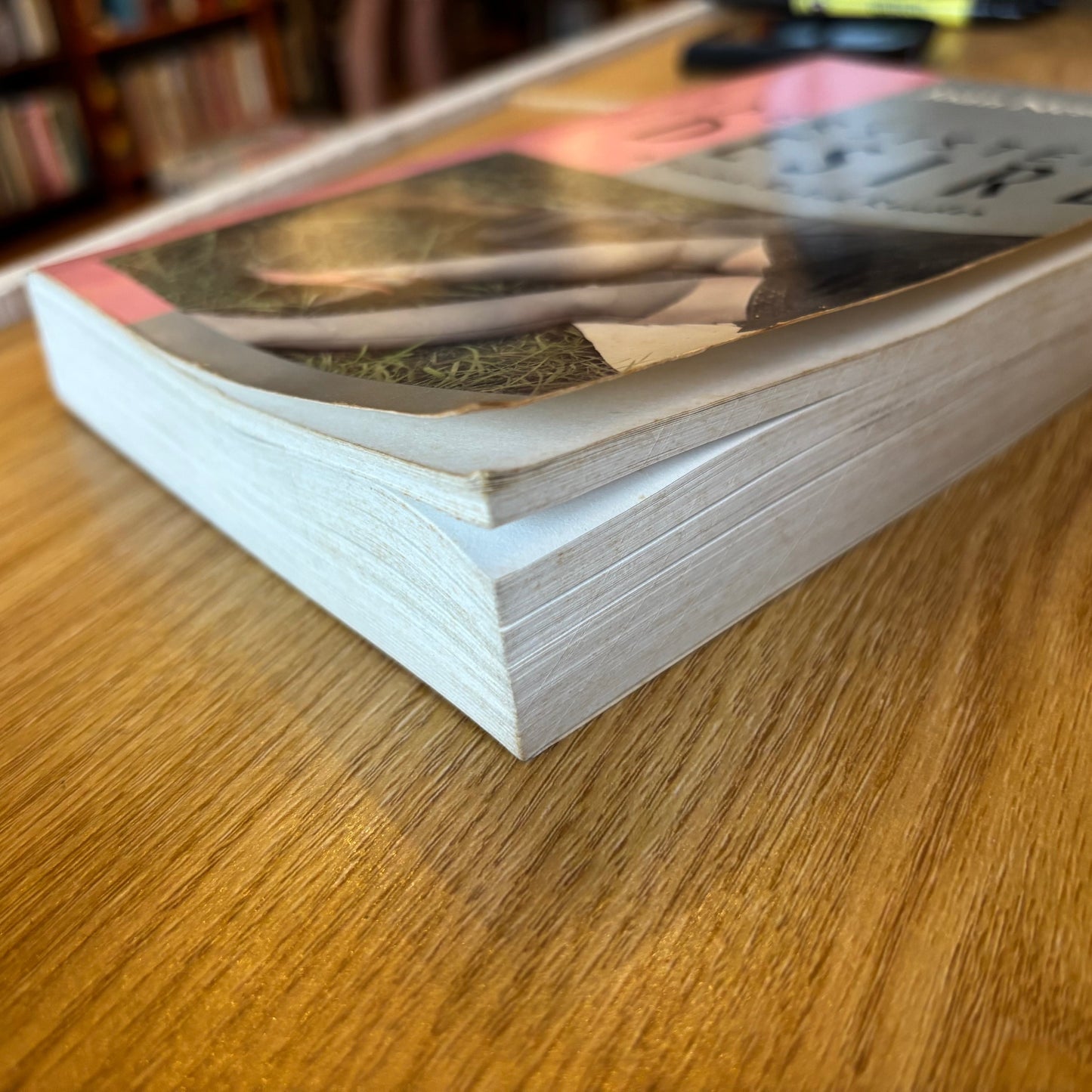 Joan Nestle, ed. - The Persistent Desire: A Femme-Butch Reader - First Edition
