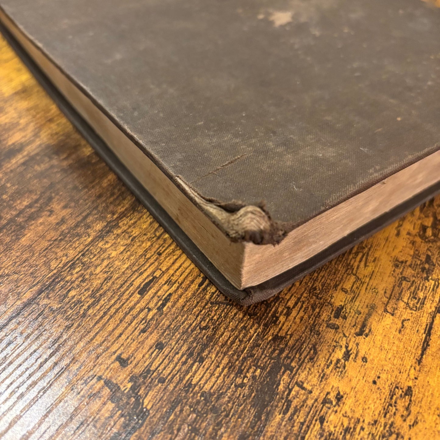 The Cultivator: A Monthly Journal for the Farm and Garden - Vol. I Third Series (1853)