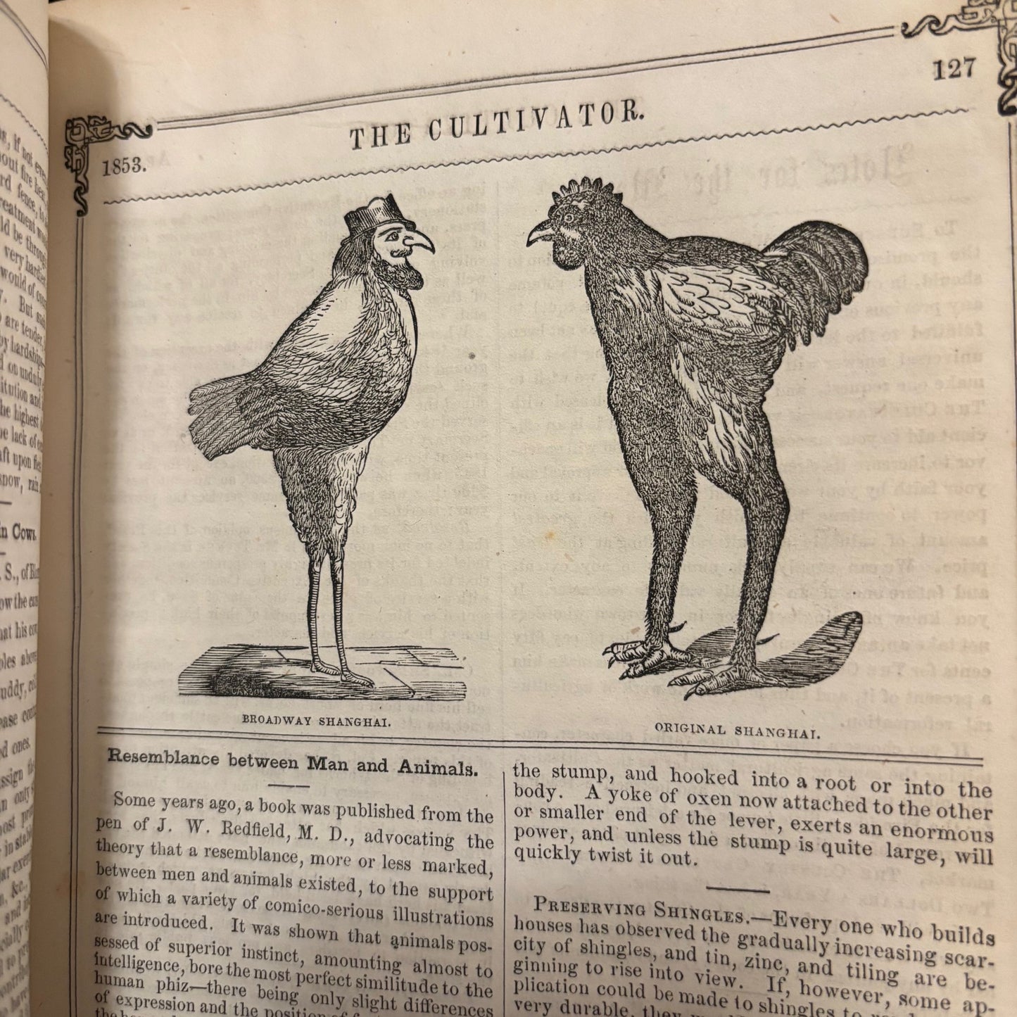 The Cultivator: A Monthly Journal for the Farm and Garden - Vol. I Third Series (1853)