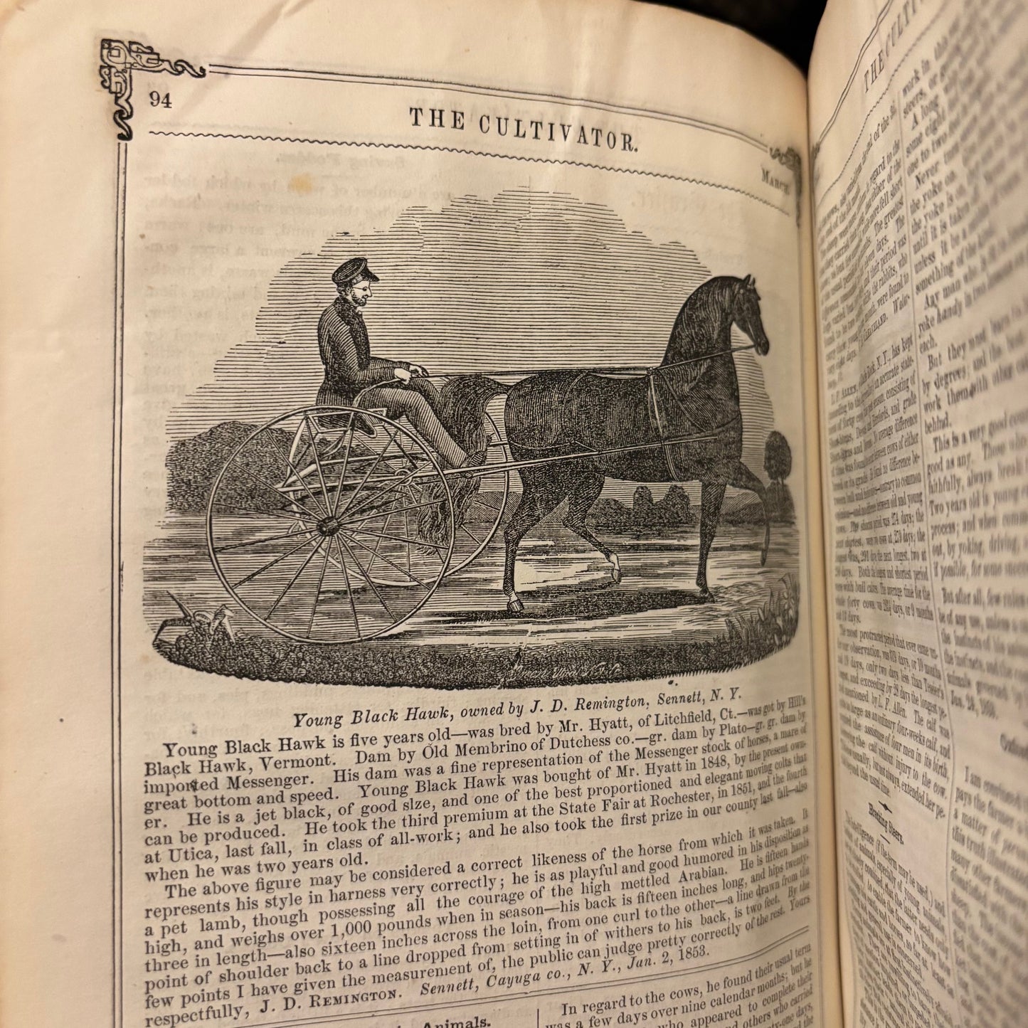 The Cultivator: A Monthly Journal for the Farm and Garden - Vol. I Third Series (1853)