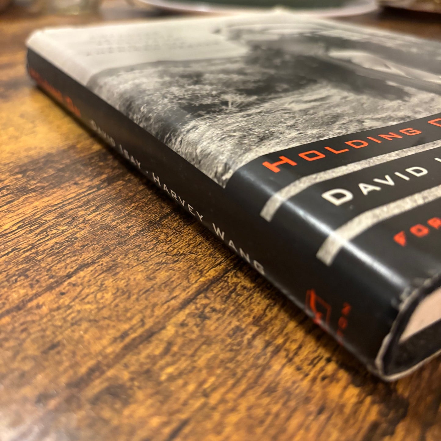 David Isay, Harvey Wang - Holding On: Dreamers, Visionaries, Eccentrics, and Other American Heroes