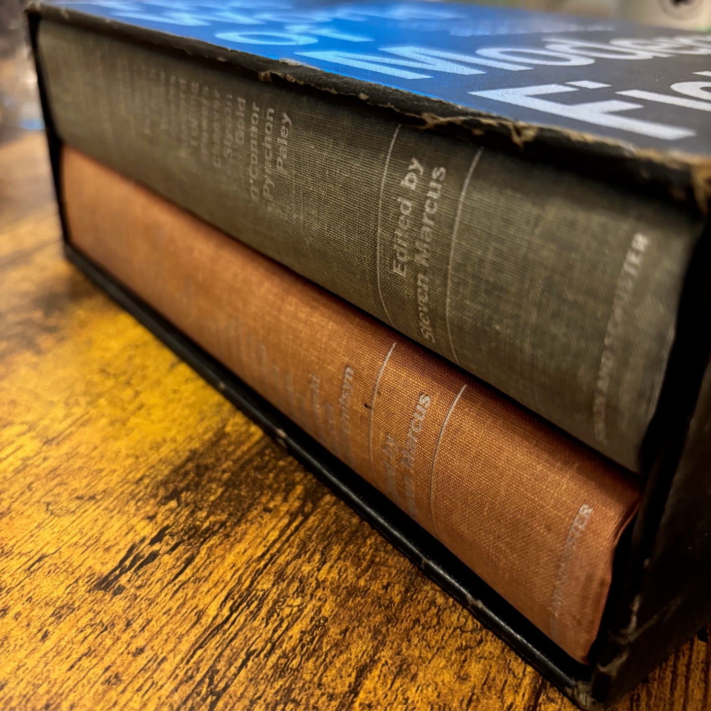 Steven Marcus, ed. - The World of Modern Fiction - 2 Vols. - First Edition