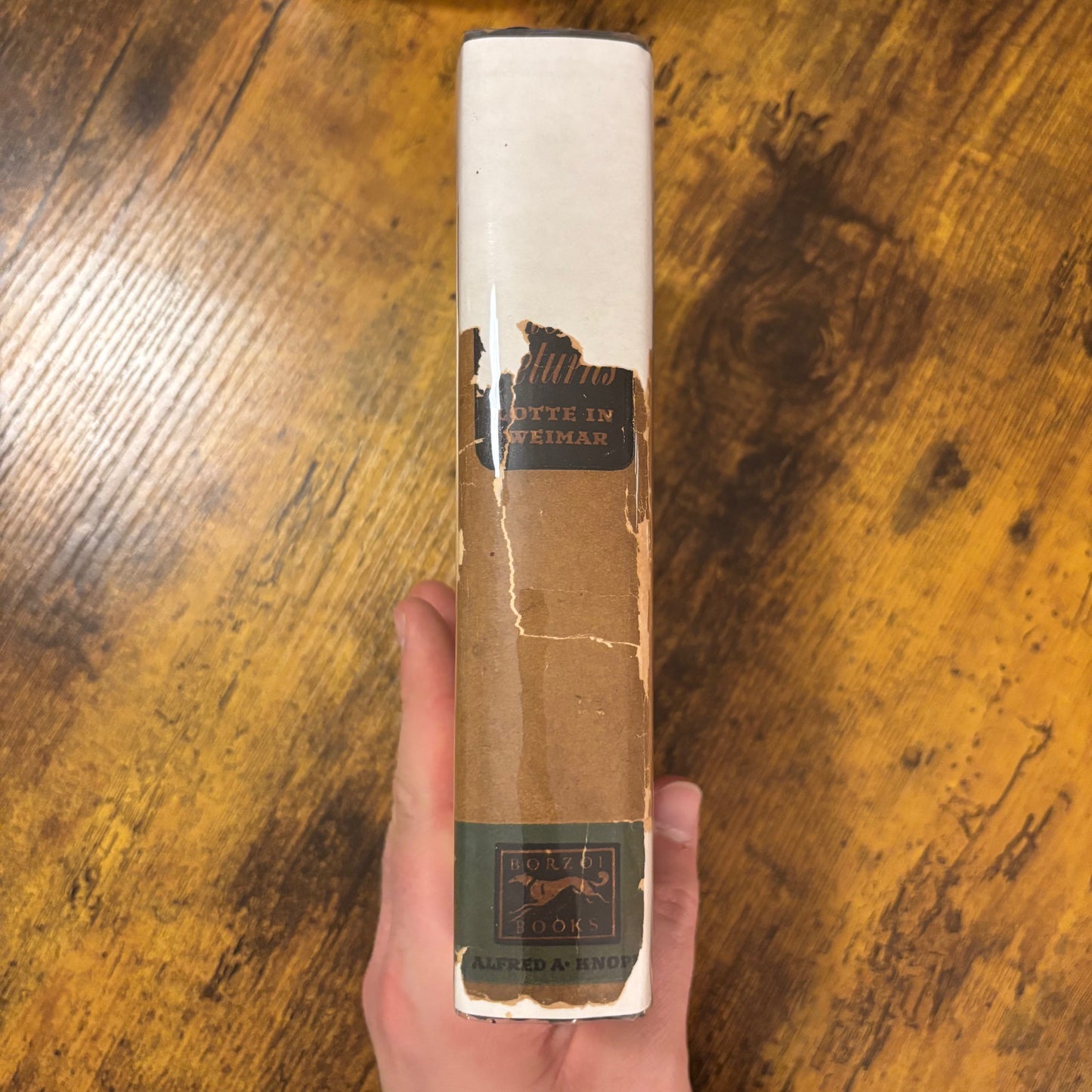 Thomas Mann - The Beloved Returns: Lotte in Weimar - First Edition Second Printing