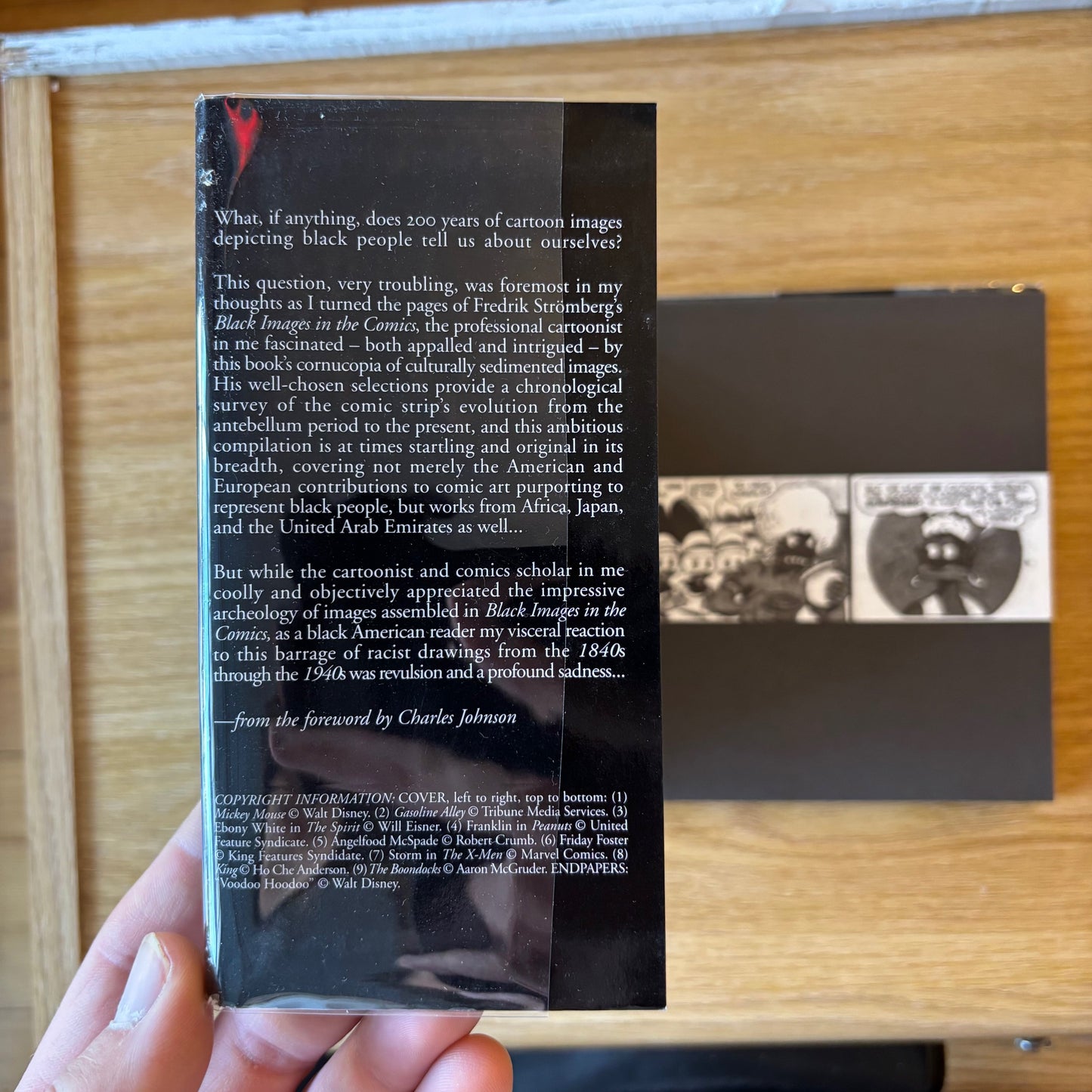 Fredrik Stromberg - Black Images in the Comics: A Visual History