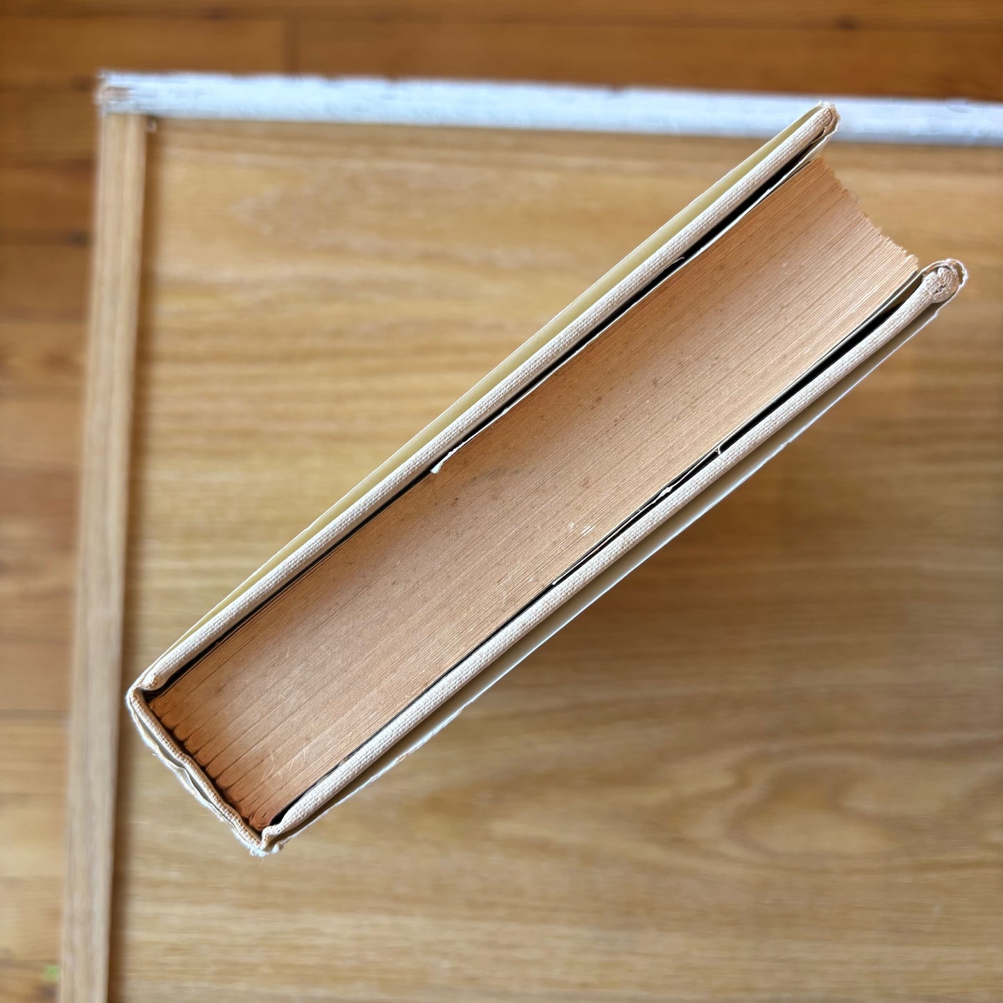 Susan Sontag - Against Interpretation - First Edition Second Printing
