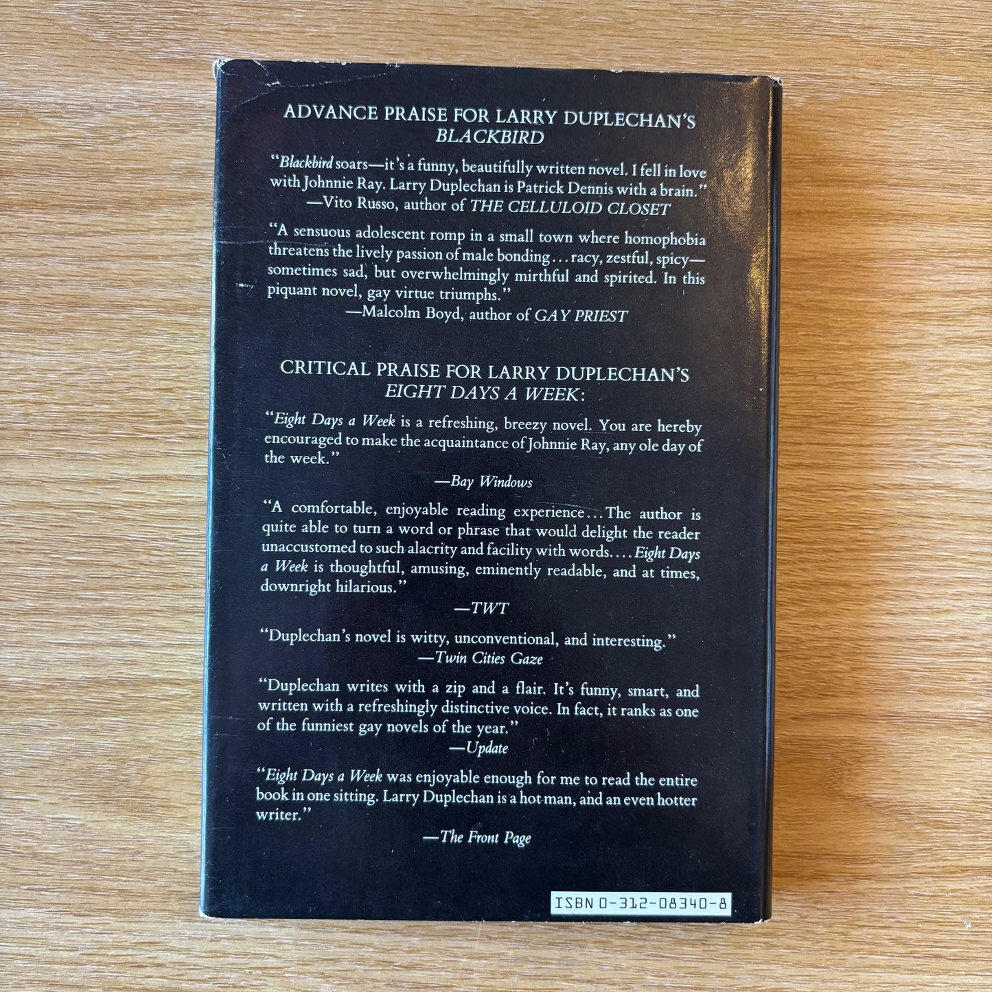 Larry Duplechan - Blackbird - First Edition
