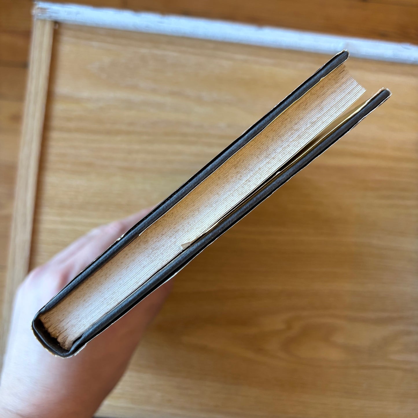 Larry Duplechan - Blackbird - First Edition