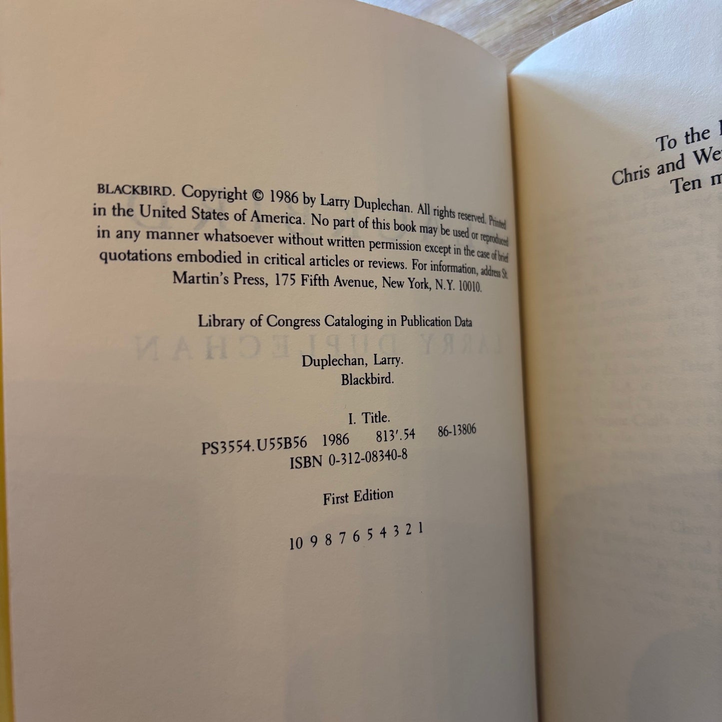 Larry Duplechan - Blackbird - First Edition