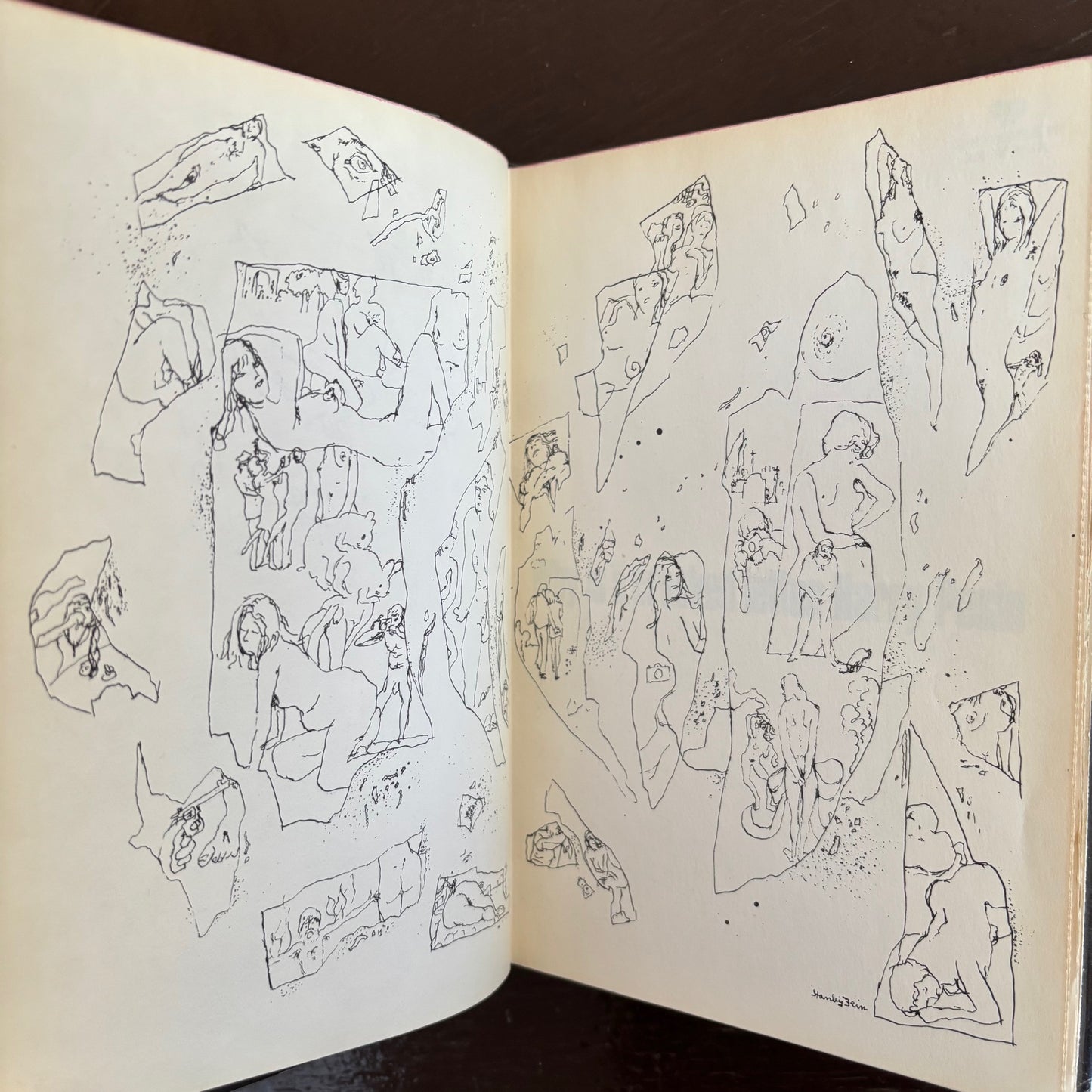 Harry Pesin - Why is a crooked letter - Signed First Edition