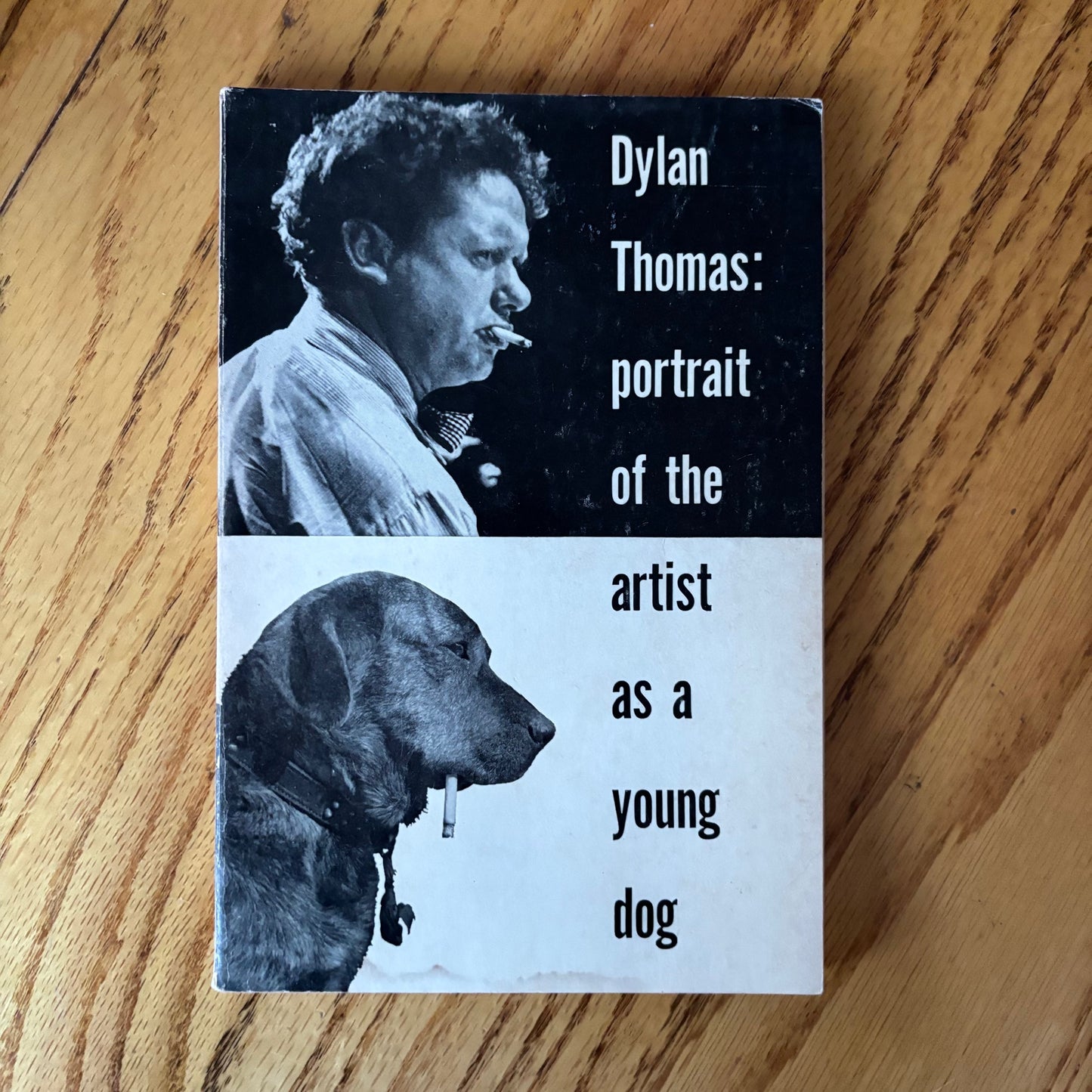 Dylan Thomas - Portrait of the Artist as a Young Dog