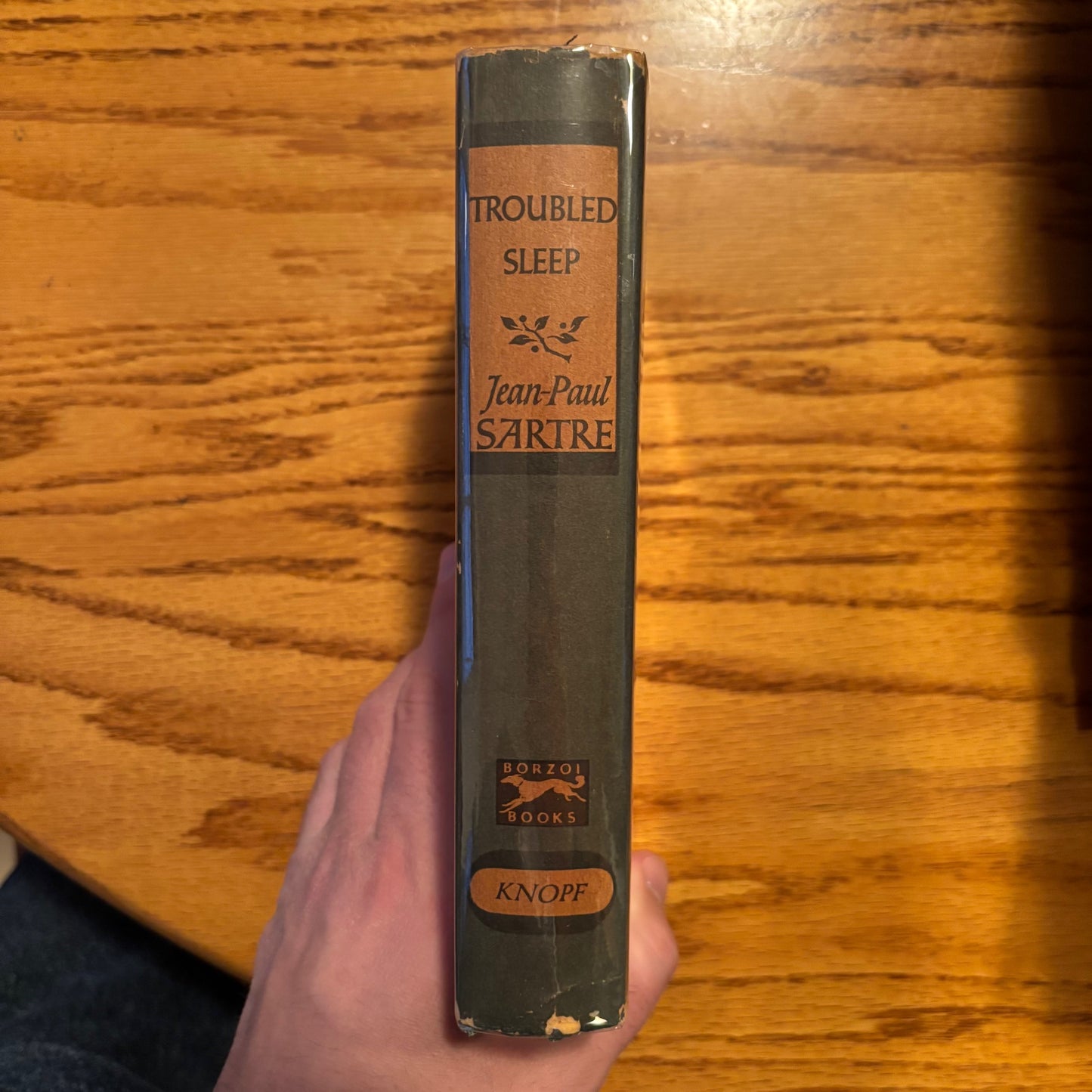 Jean-Paul Sartre - Troubled Sleep