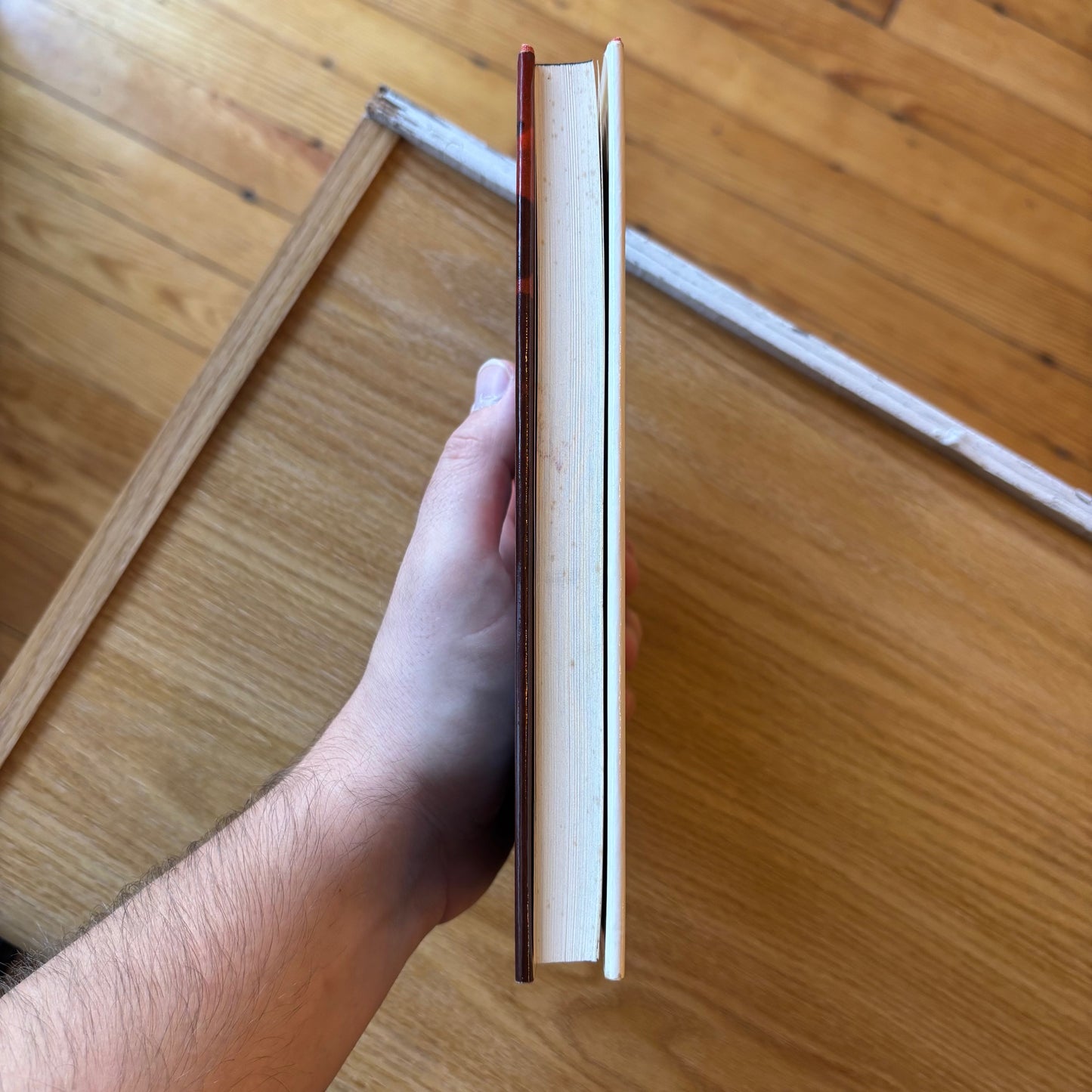 Donald Barthelme - Amateurs - First Edition