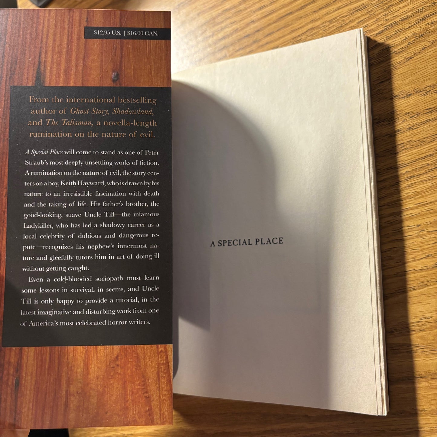 Peter Straub - A Special Place - Signed First Edition Paperback