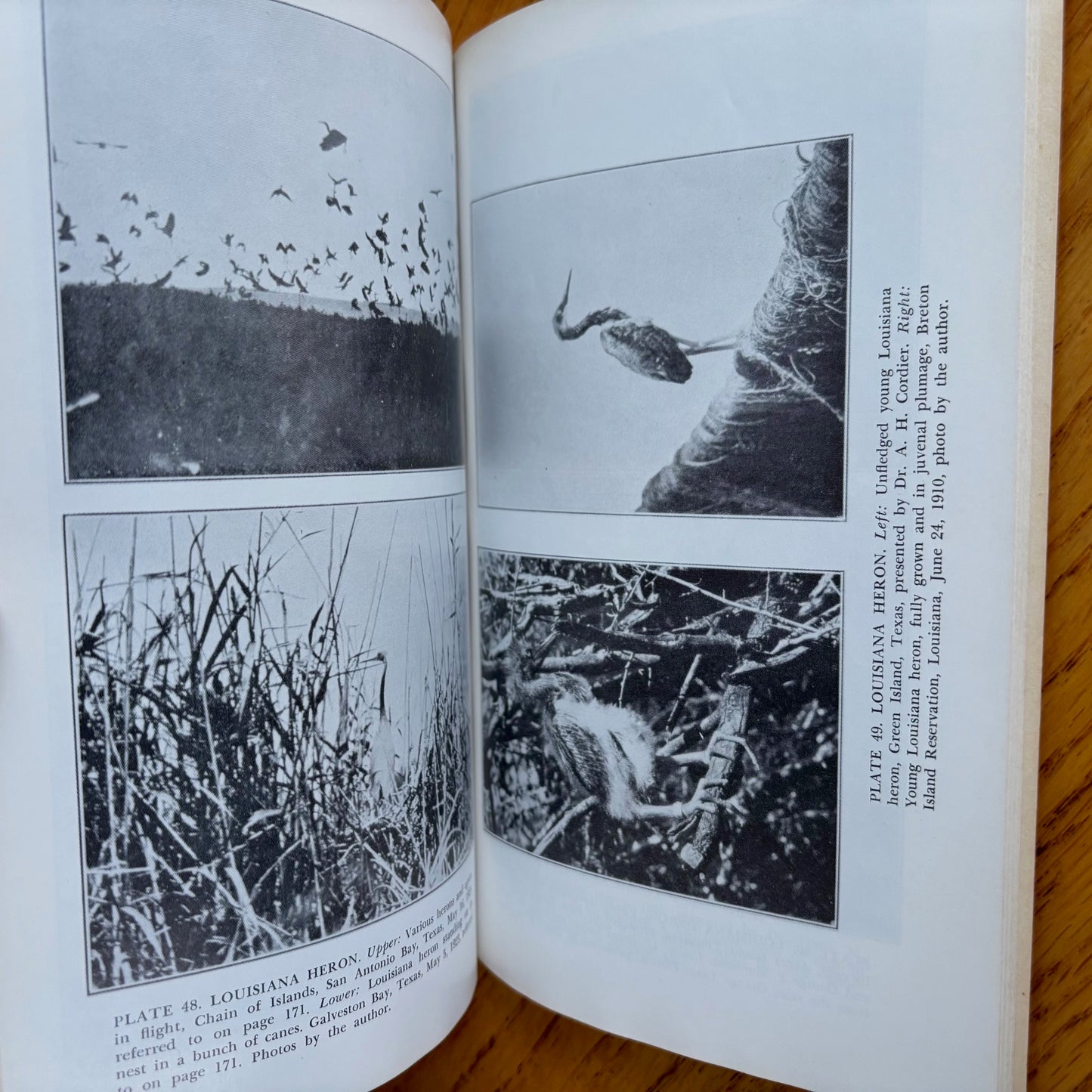 Arthur Cleveland Bent - Life Histories of North American Marsh Birds