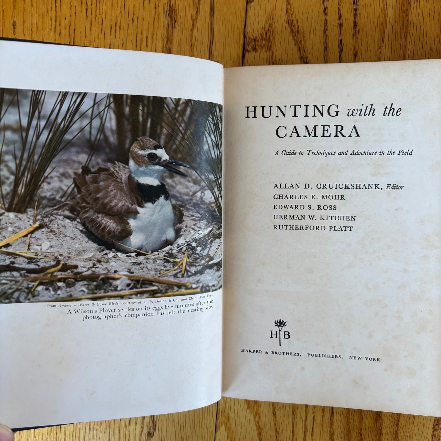 Hunting with the Camera: A Guide to Techniques and Adventure in the Field