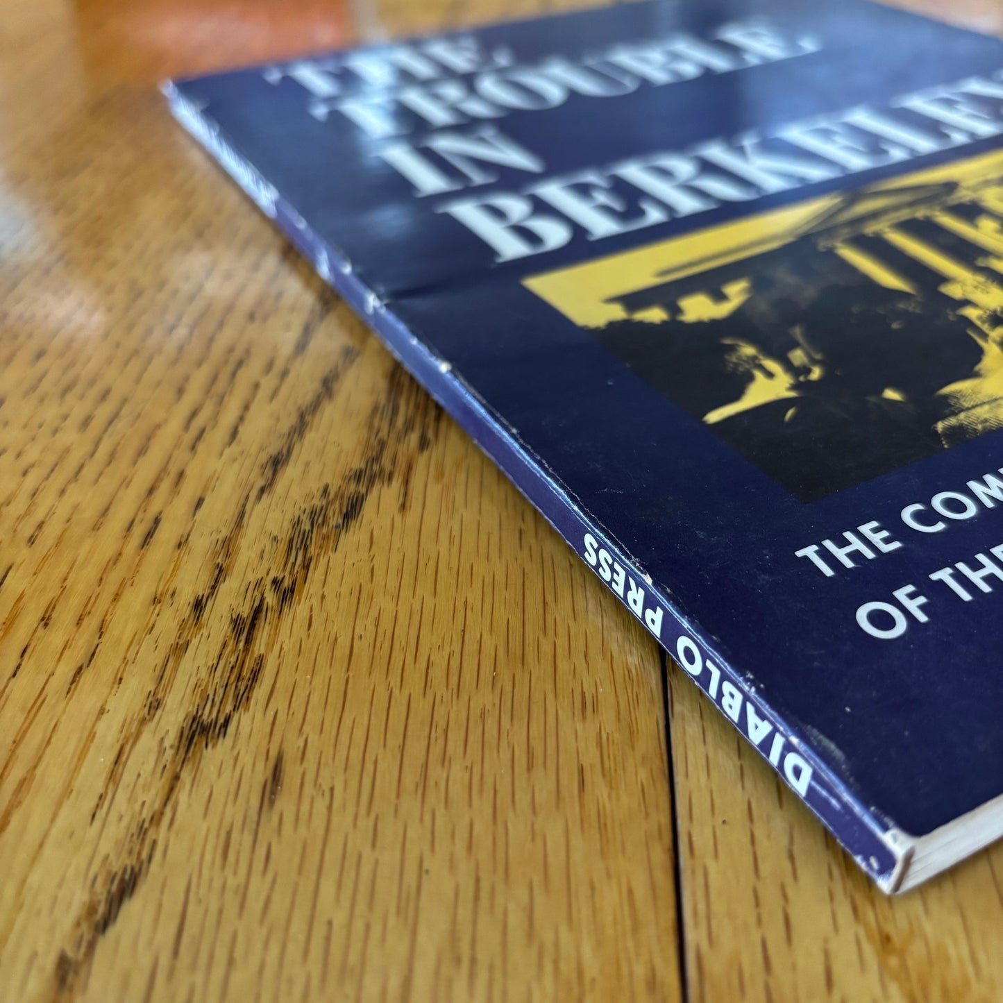 Steven Warshaw - The Trouble in Berkeley - First Edition