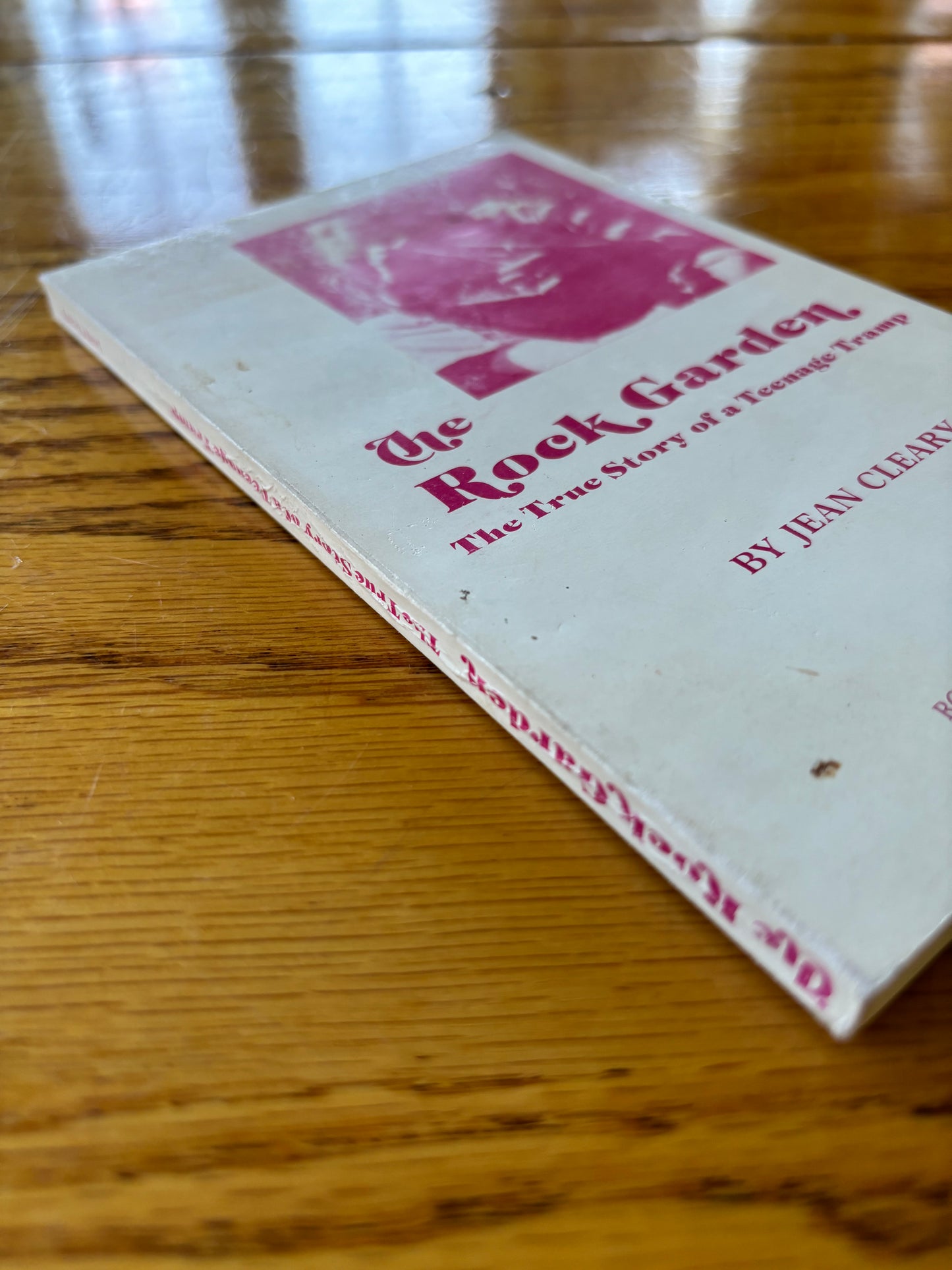 Jean Cleary - The Rock Garden: The True Story of a Teenage Tramp