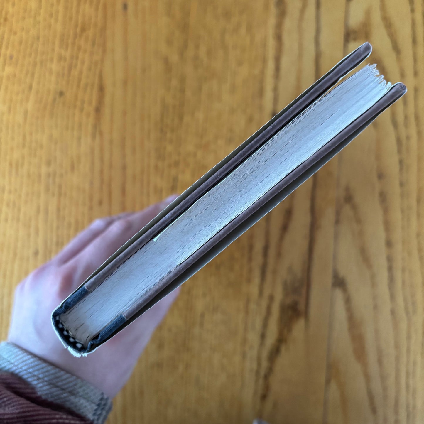 Renata Adler - Pitch Dark - First Edition
