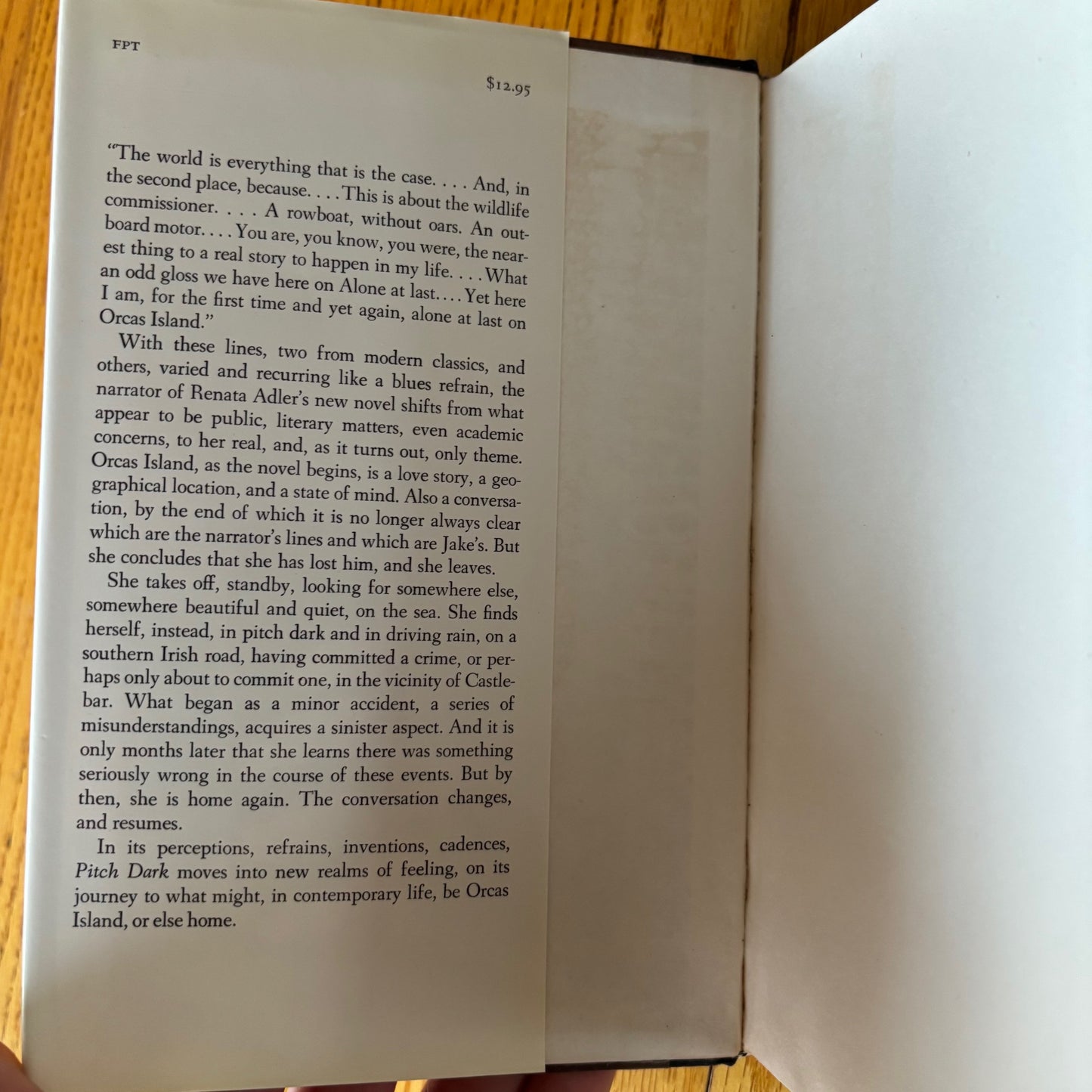 Renata Adler - Pitch Dark - First Edition