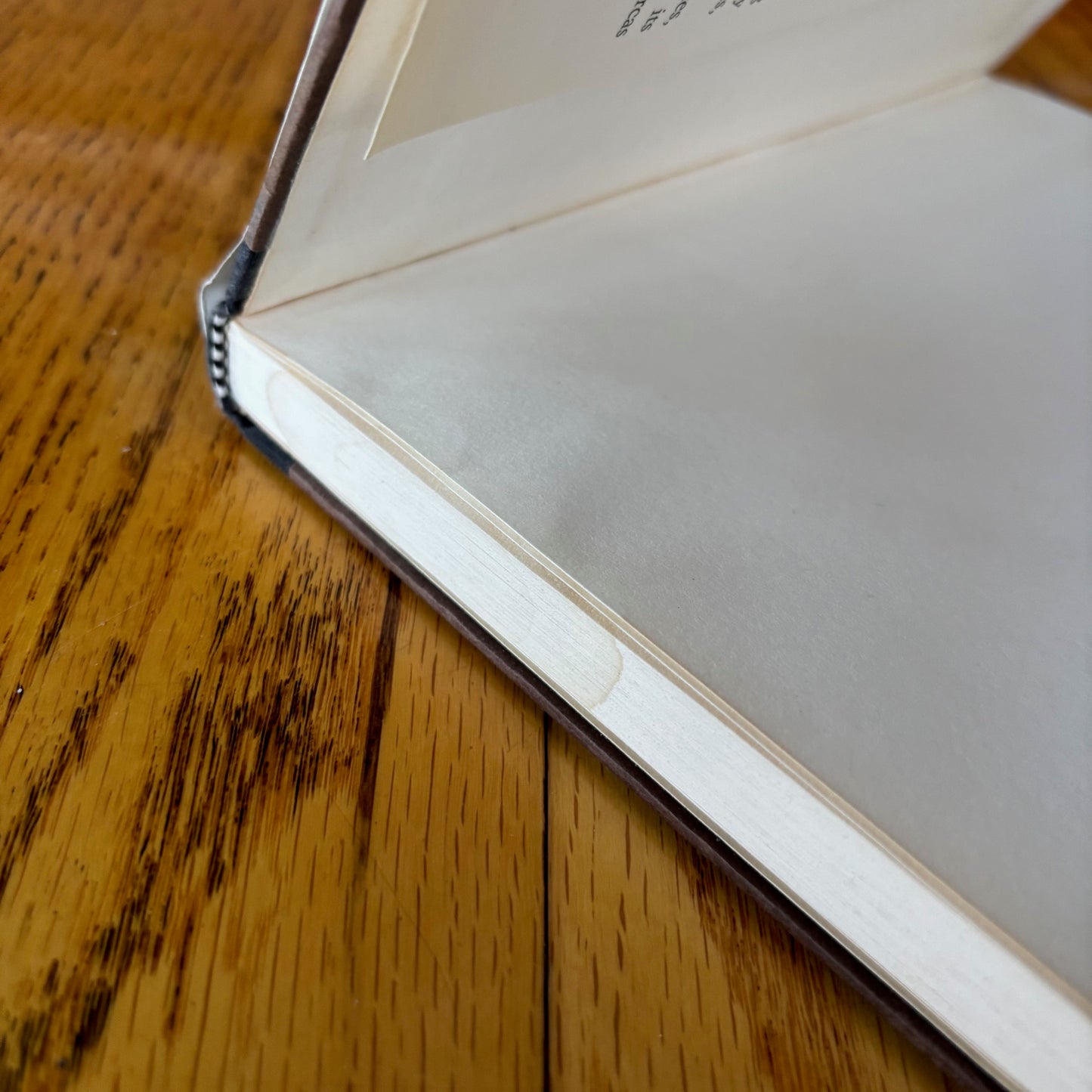 Renata Adler - Pitch Dark - First Edition