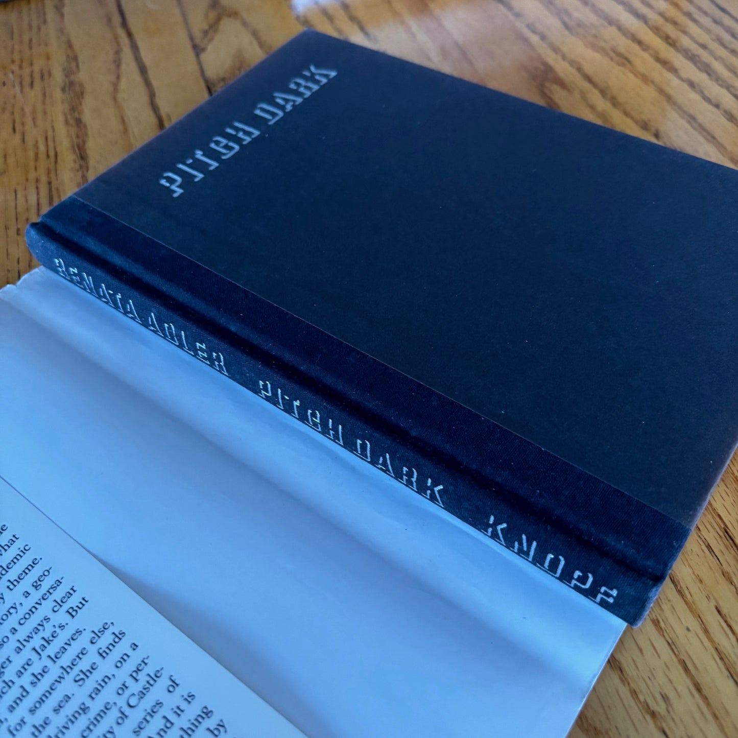 Renata Adler - Pitch Dark - First Edition