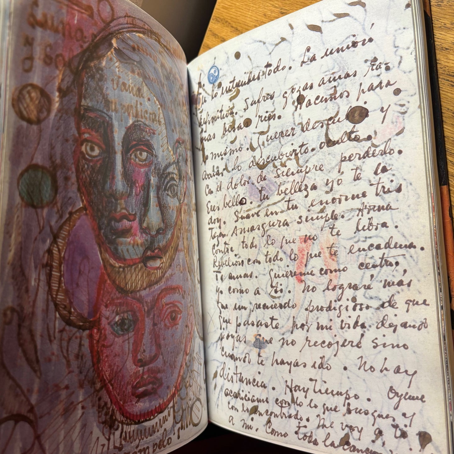 The Diary of Frida Kahlo - First Edition