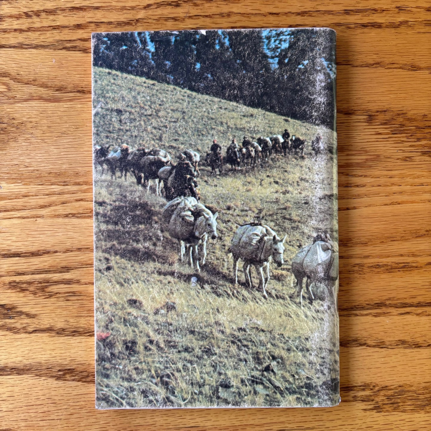 Oliver C. Hill - Packing and Outfitting Field Manual