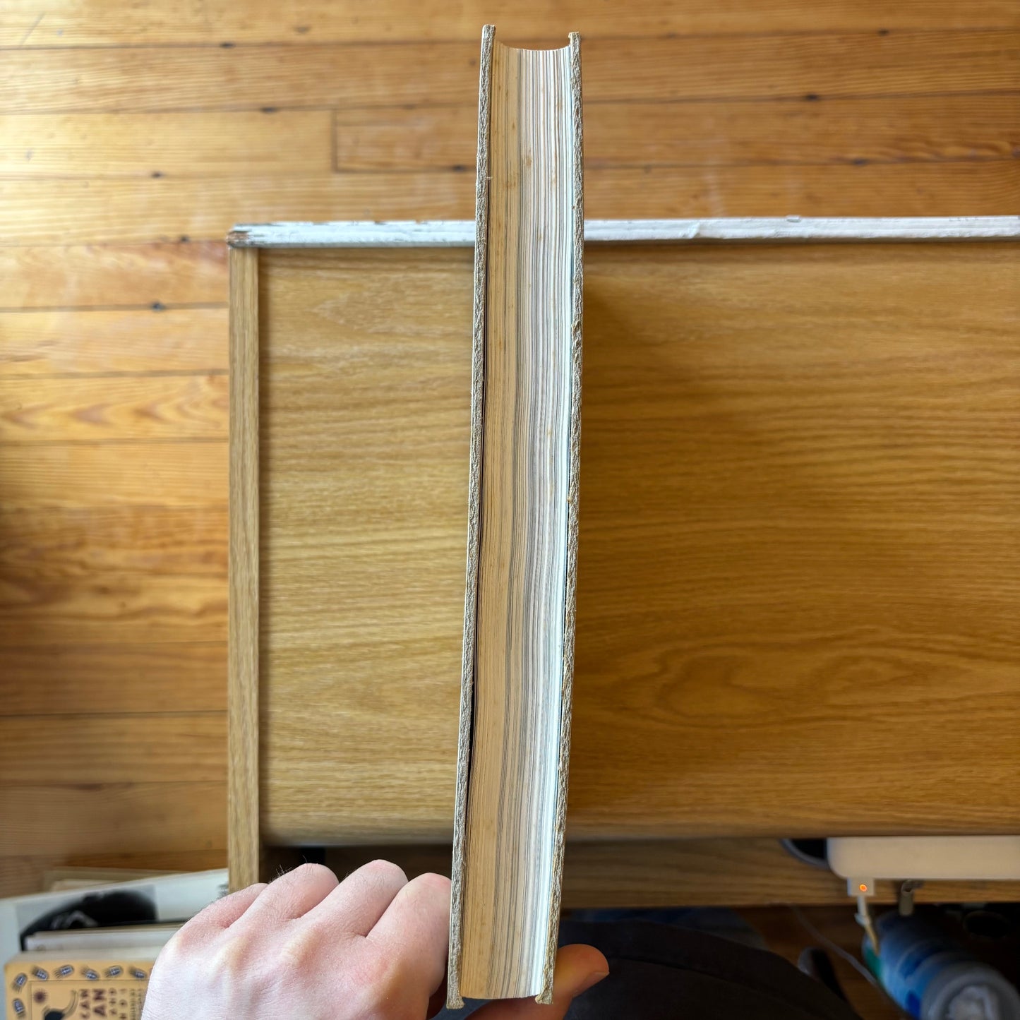 Robert Morris - The Mind/Body Problem - First Edition