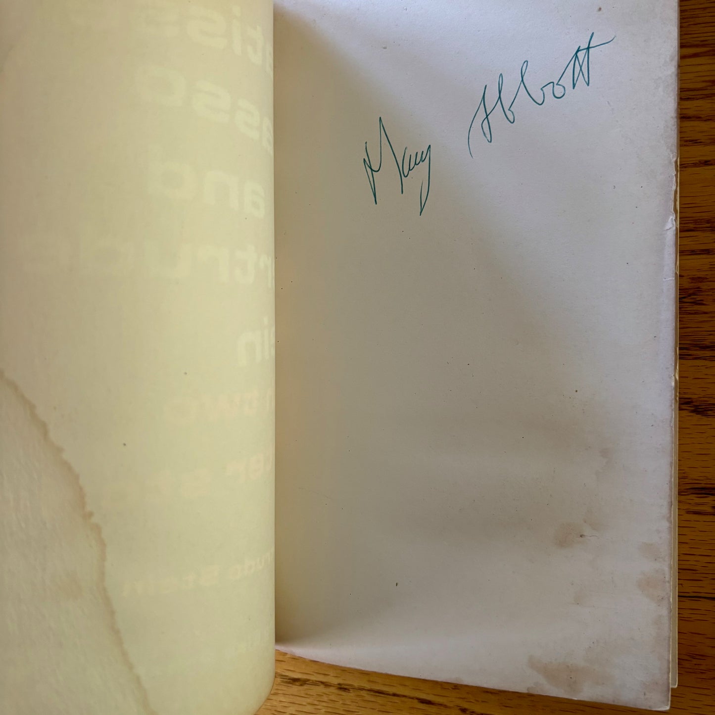 Gertrude Stein - Matisse, Picasso, and Gertrude Stein - Mary Abbott's Copy