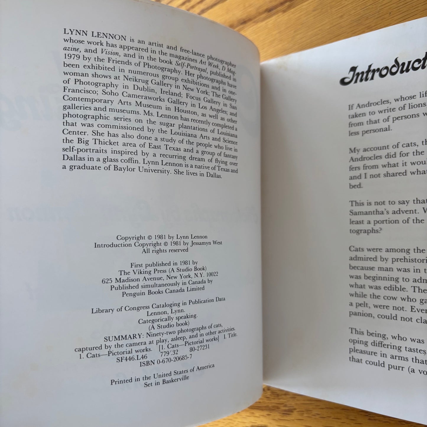 Lynn Lennon - Categorically Speaking