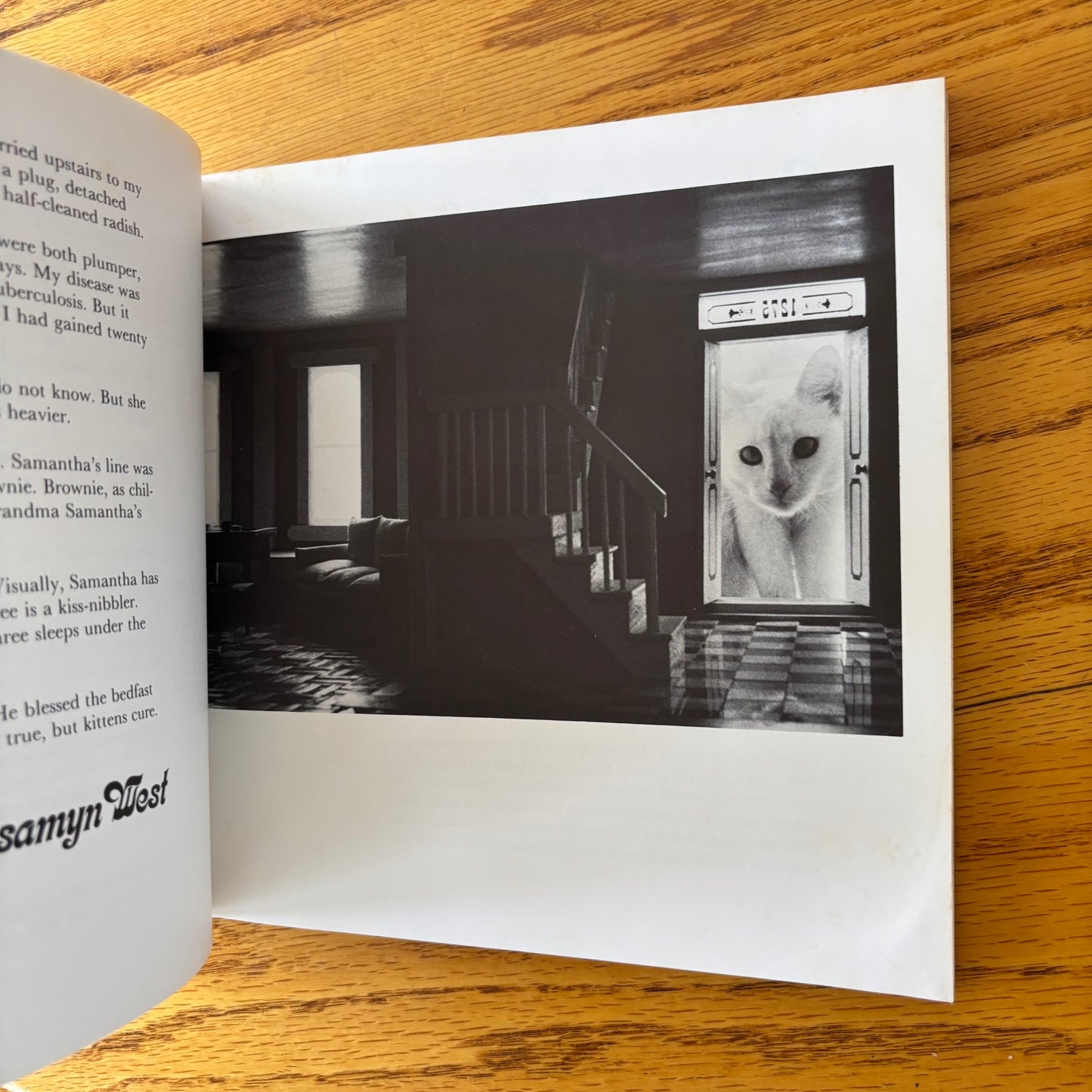 Lynn Lennon - Categorically Speaking