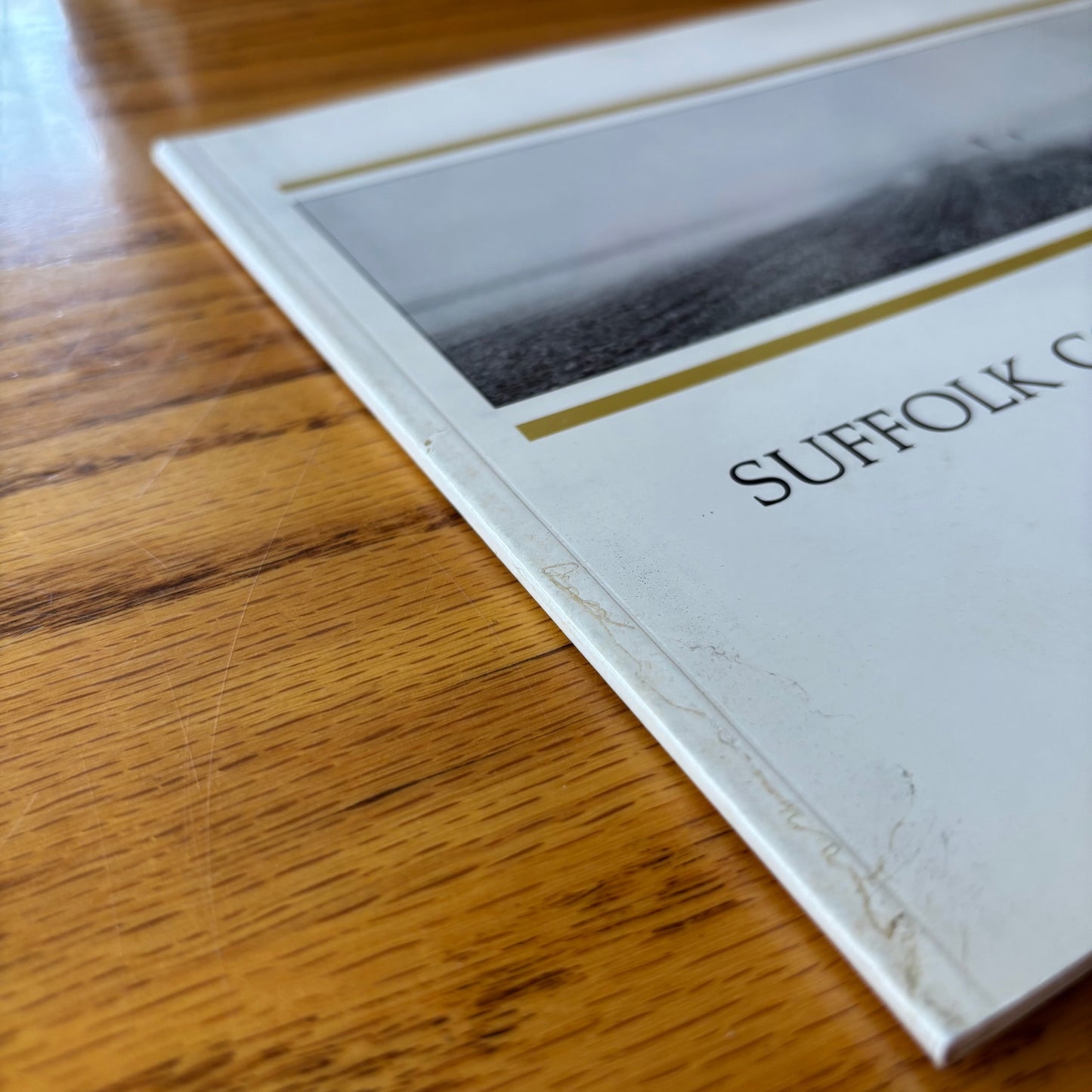 Bruce Poli - Suffolk County: A Place in Time