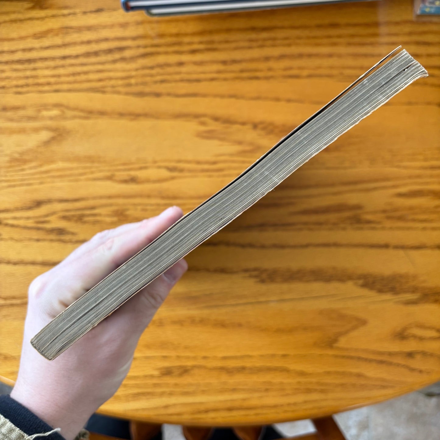 Steven Scher - Fire! - First Edition Paperback
