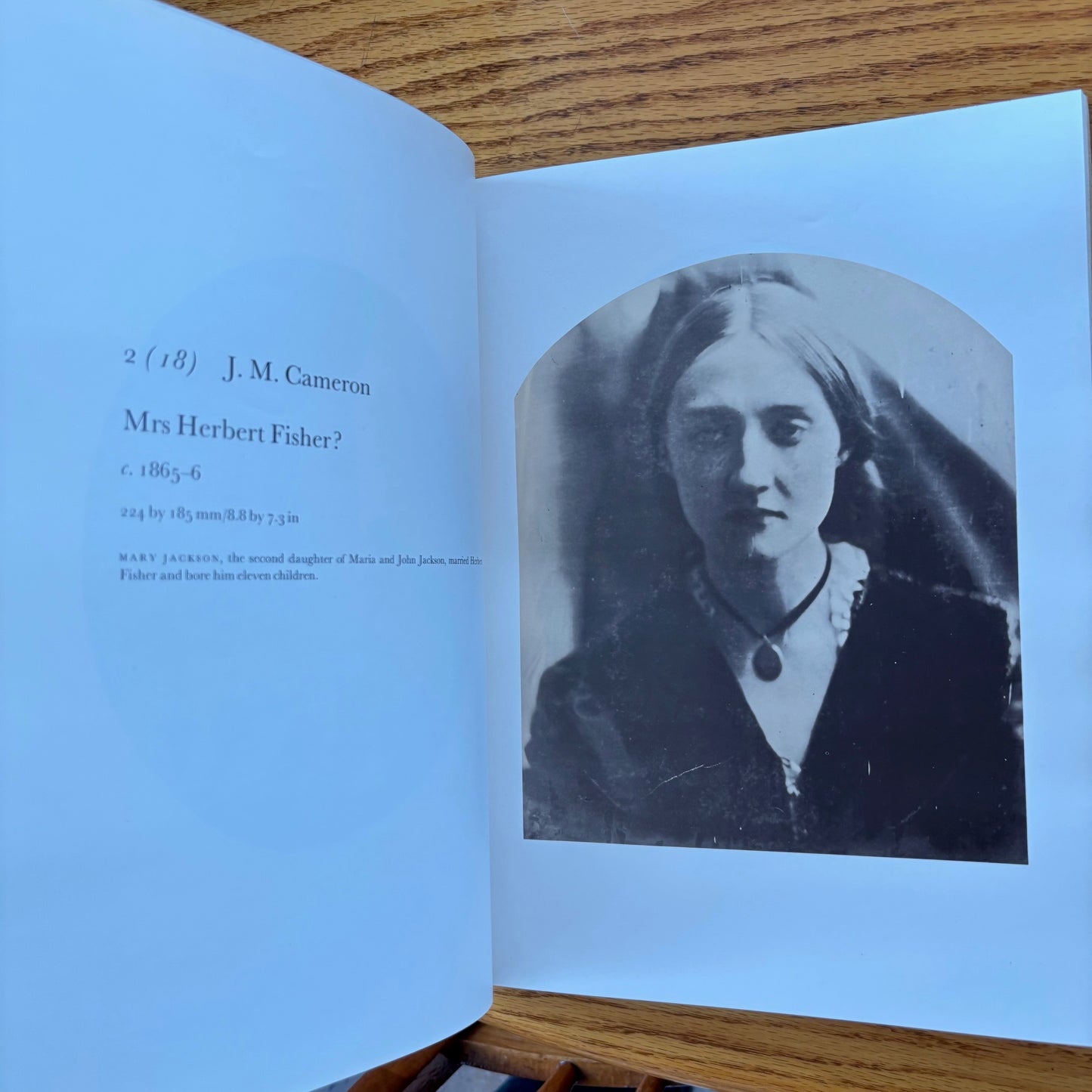 A Victorian Album: Julia Margaret Cameron and Her Circle