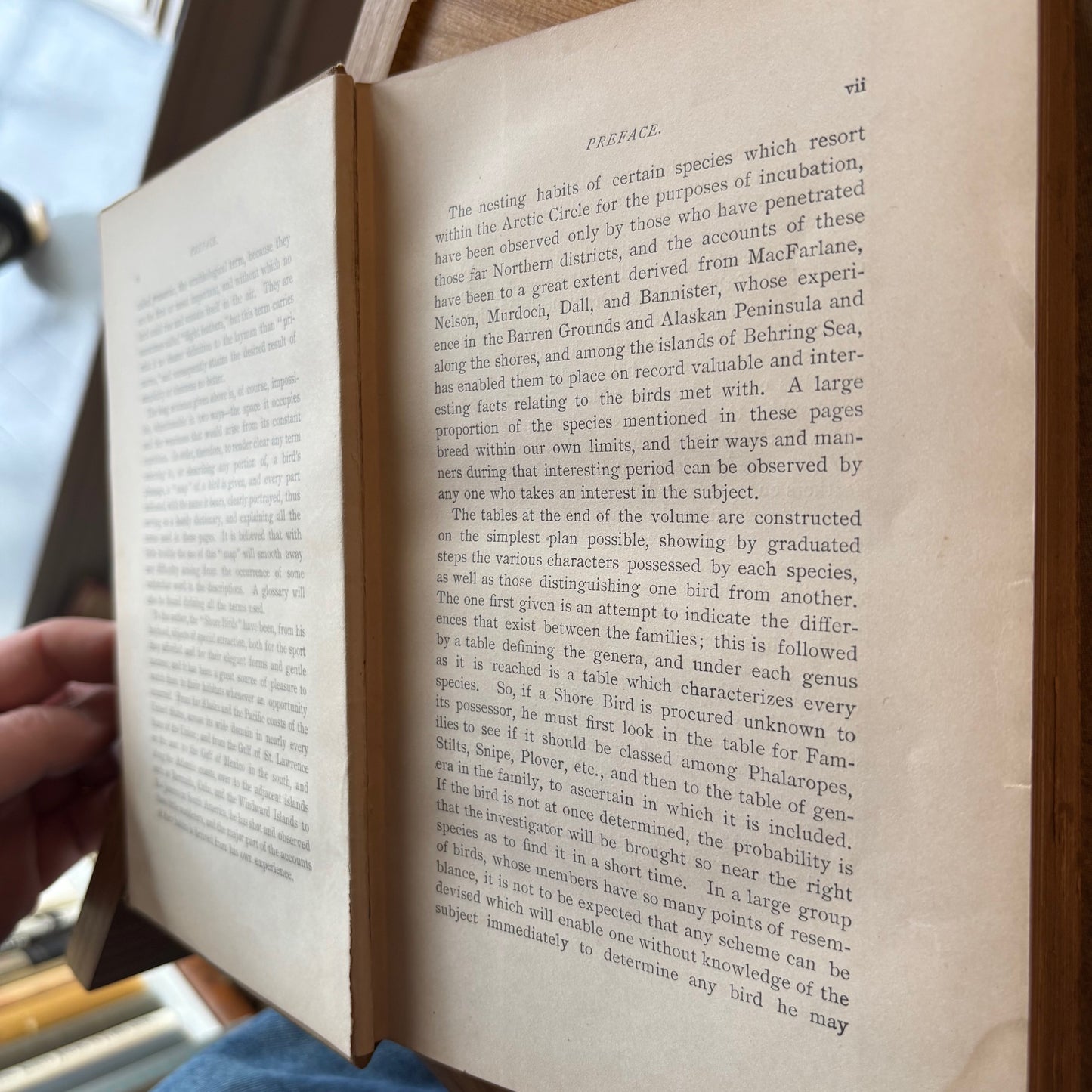 Daniel Giruad Elliot - North American Shore Birds