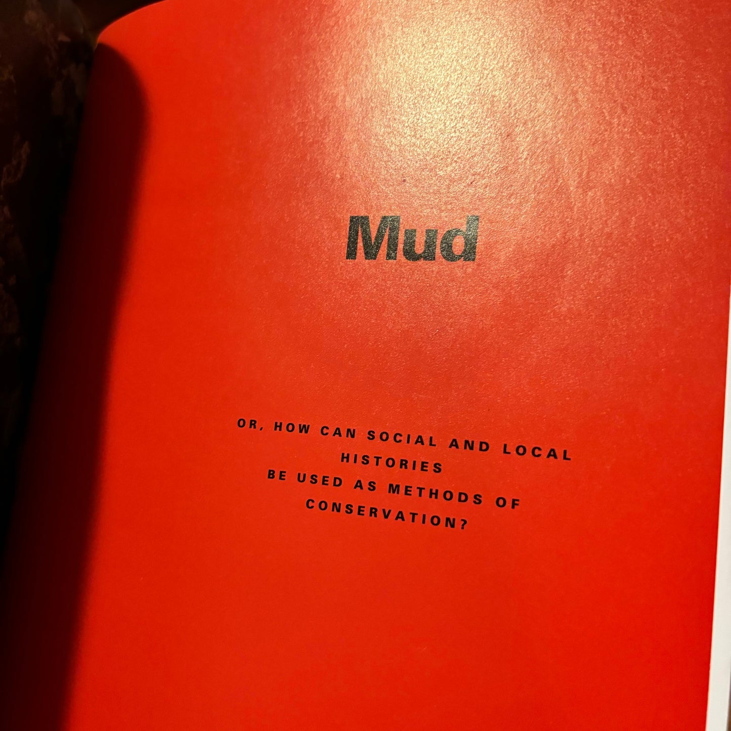 Mud, or, How Can Social and Local Histories be Used as Methods of Conservation? - The Hirsch Farm Project