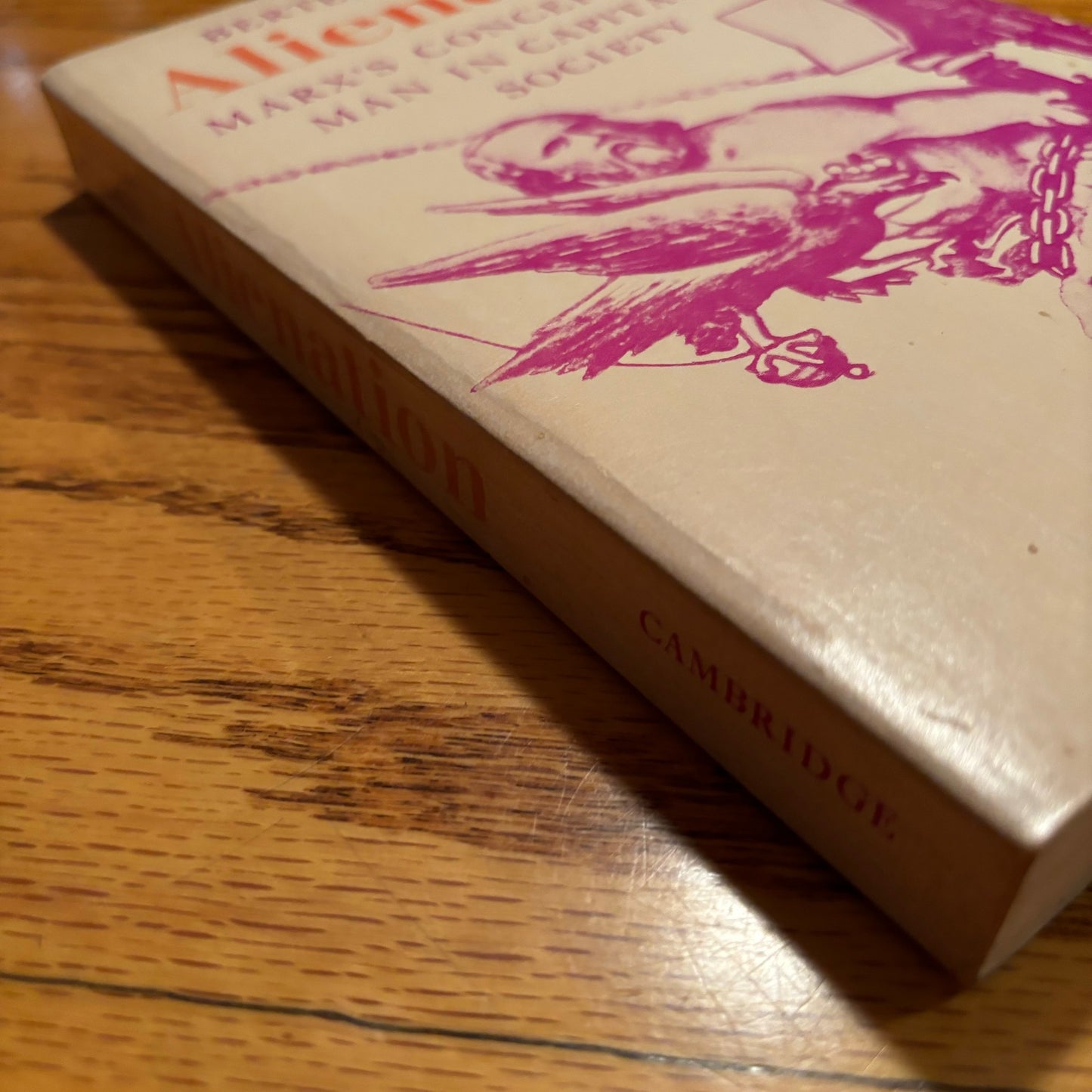 Bertell Ollman - Alienation: Marx's Conception of Man in Capitalist Society