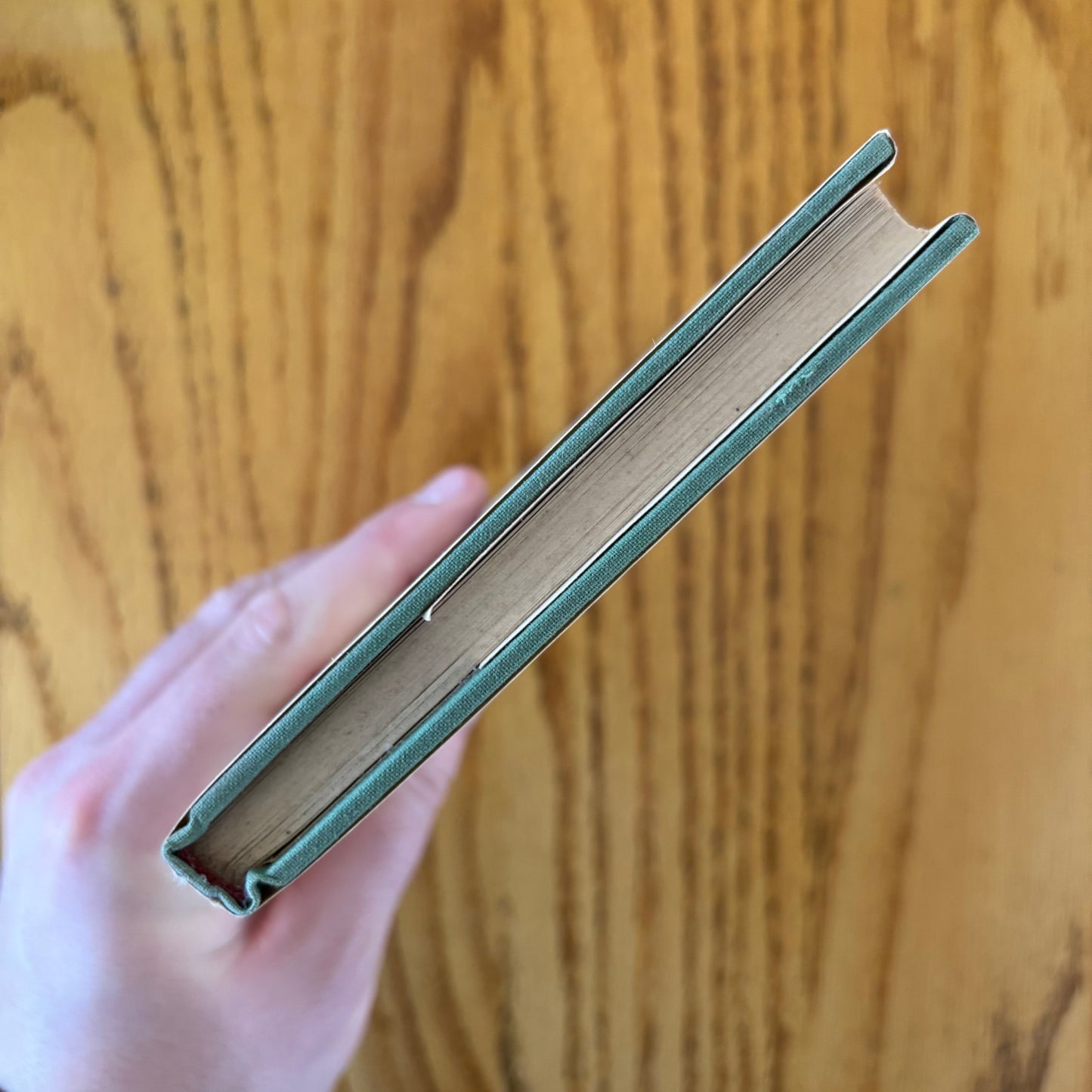 Rainer Maria Rilke - The Roses & the Windows - First Edition