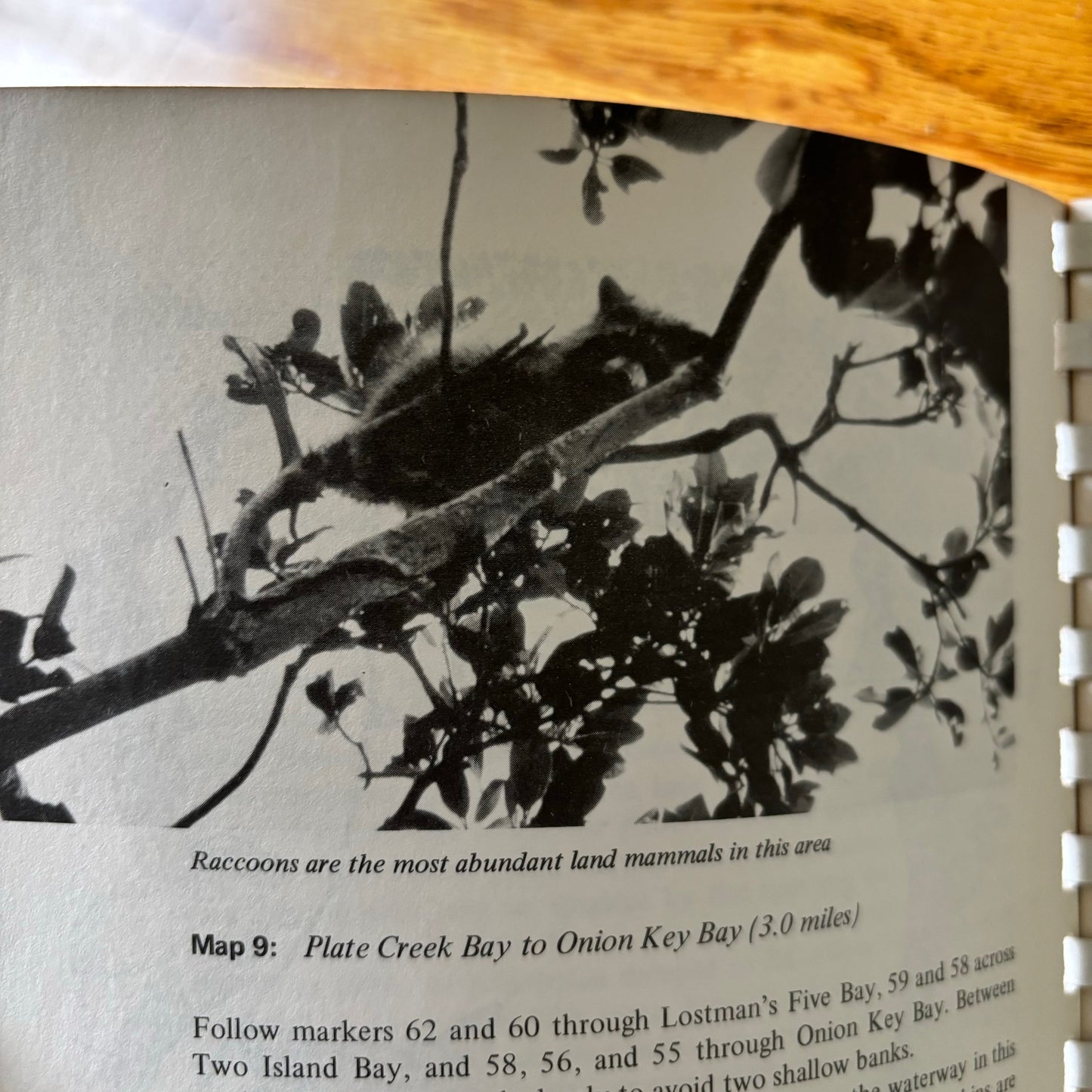 William G. Truesdell - A Guide to the Wildenress Waterway of the Everglades National Park