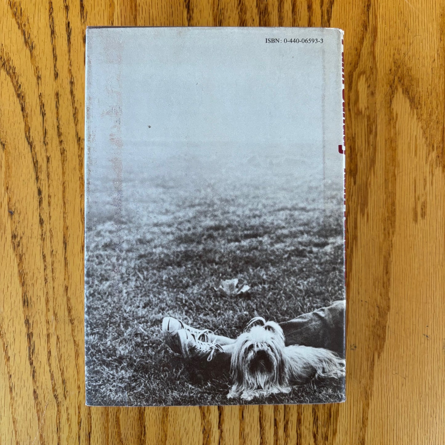 Kurt Vonnegut - Palm Sunday - First Edition