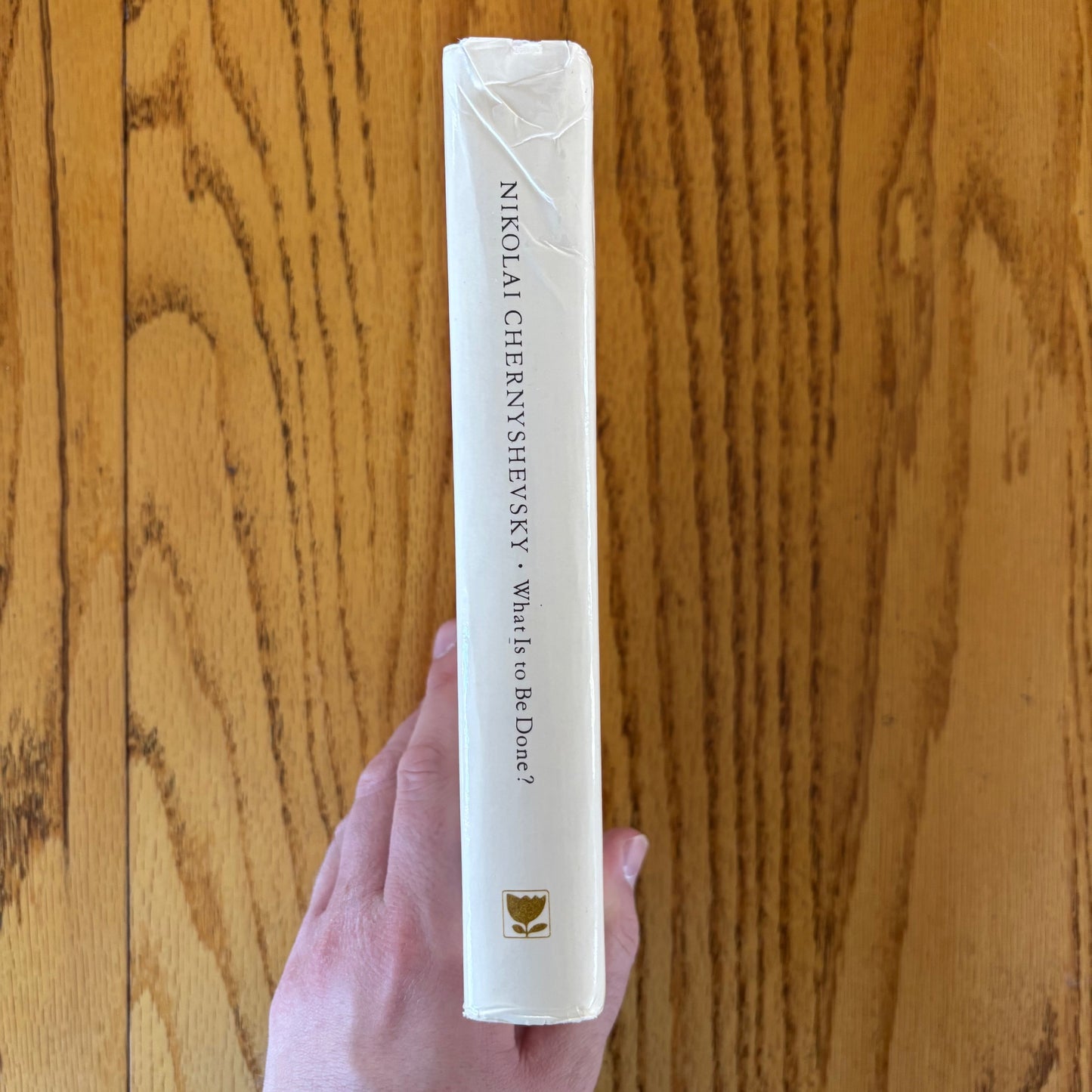 Nikolai Chernyshevsky - What Is to Be Done? - First Edition